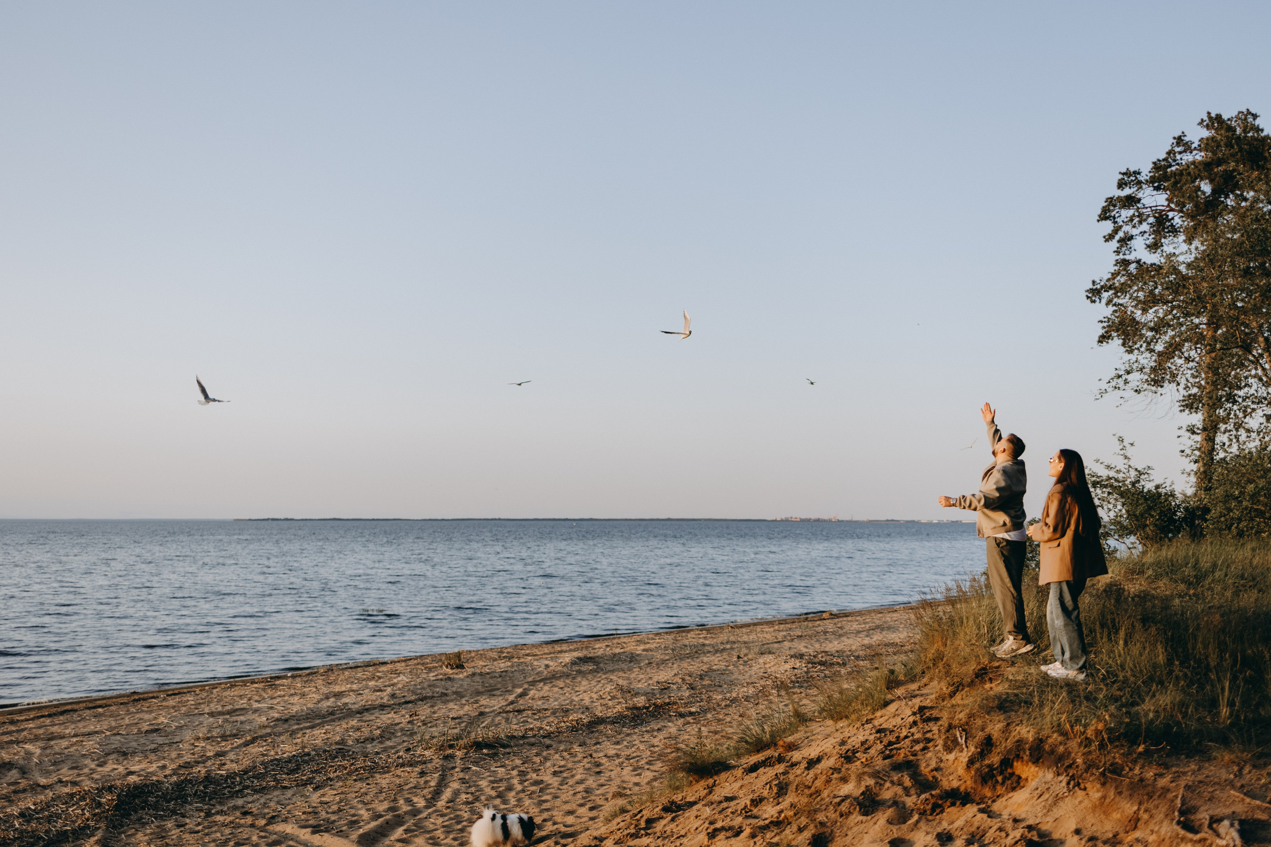 Диана и ее мальчики. Фотограф — Анималист | Санкт-Петербург
