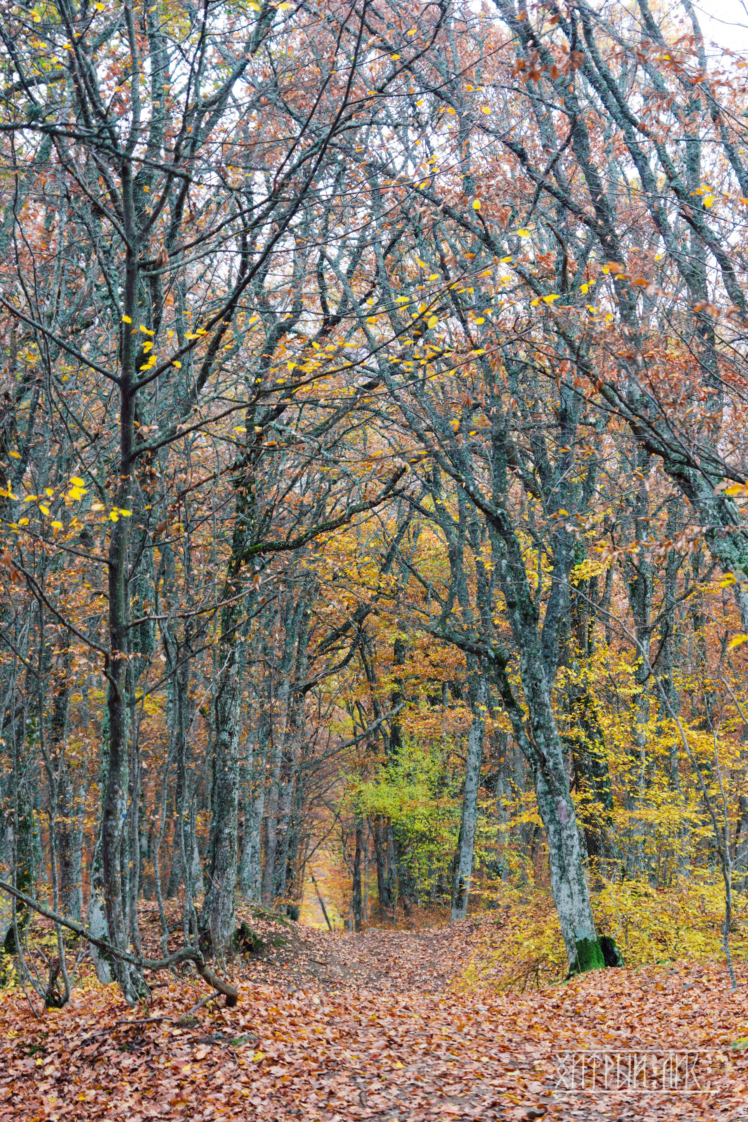 Крым. Фотограф-путешественник Самойлов Максим «Sly Fox»