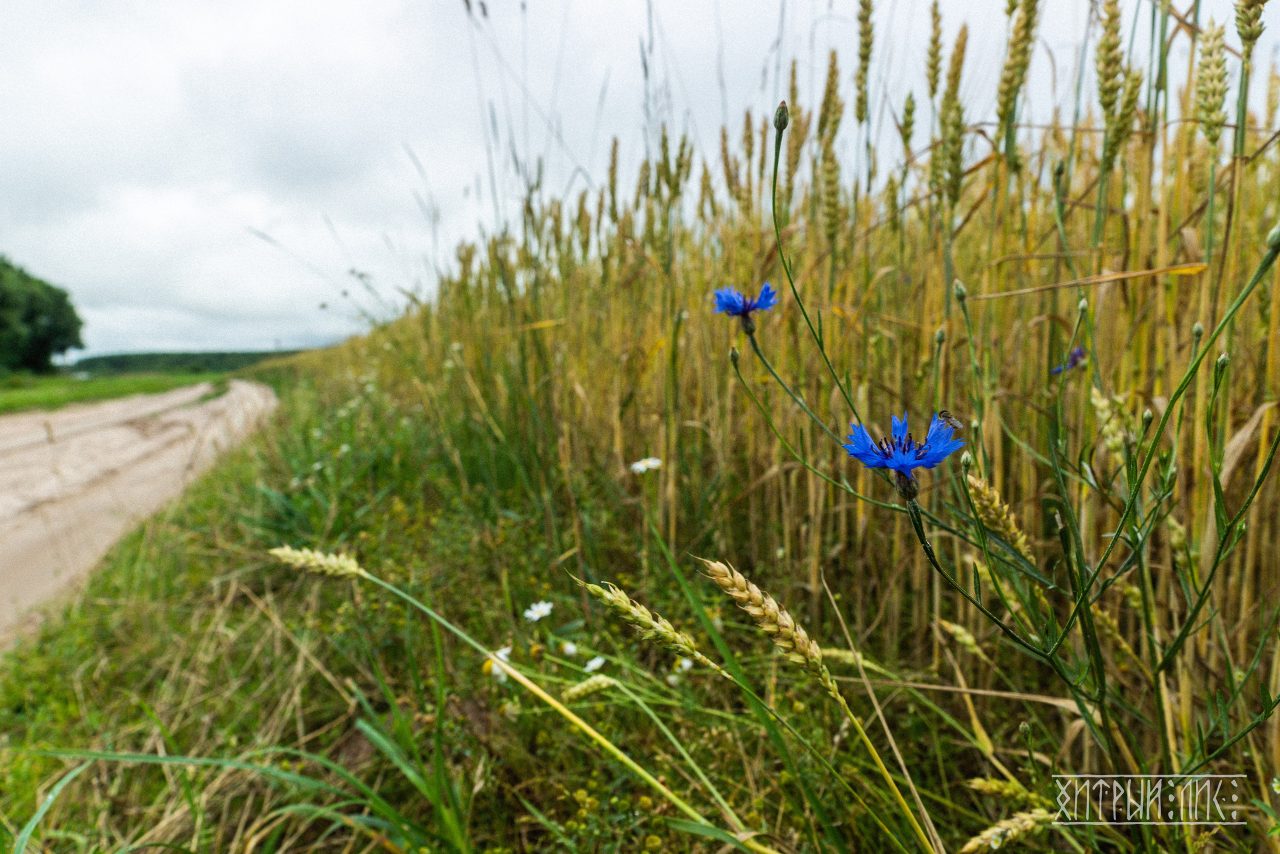 Беларусь. Фотограф-путешественник Самойлов Максим «Sly Fox»