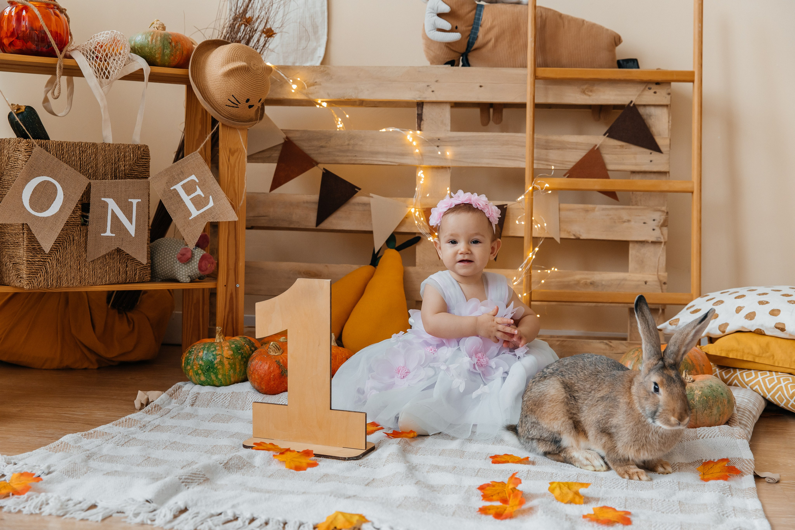 Краски осени. Фотограф в Омске