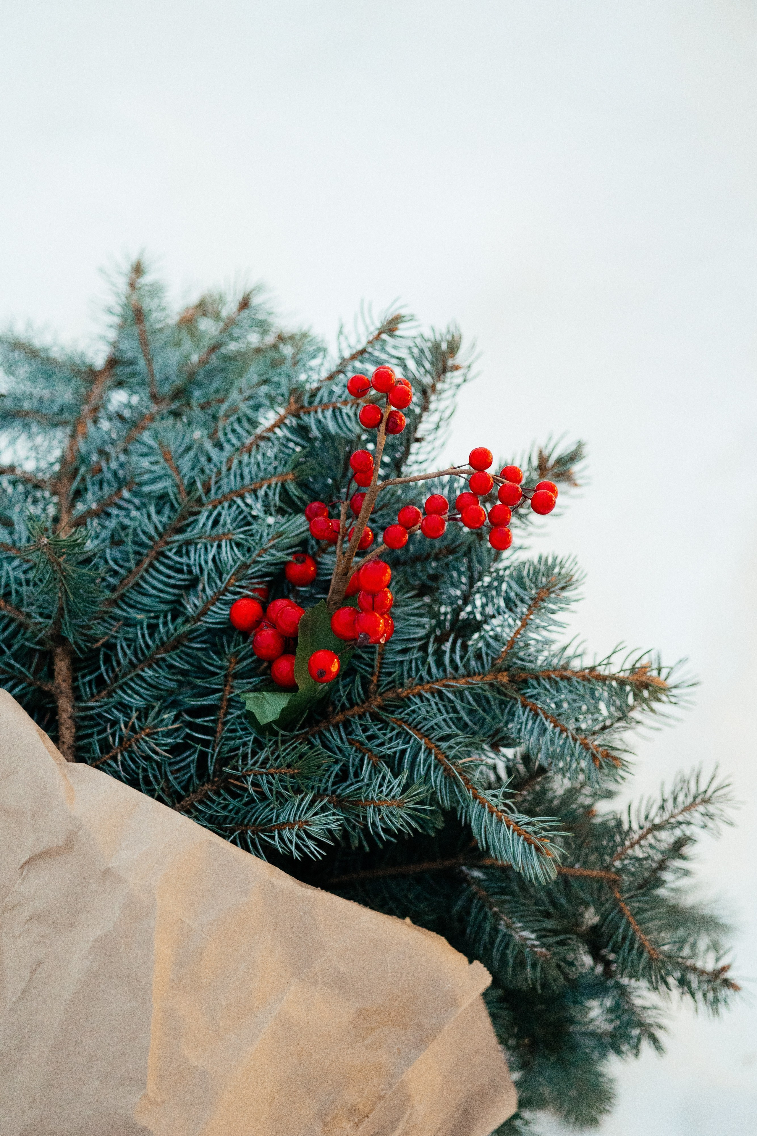 Варвара и Артем. Свадебный фотограф Минск РБ