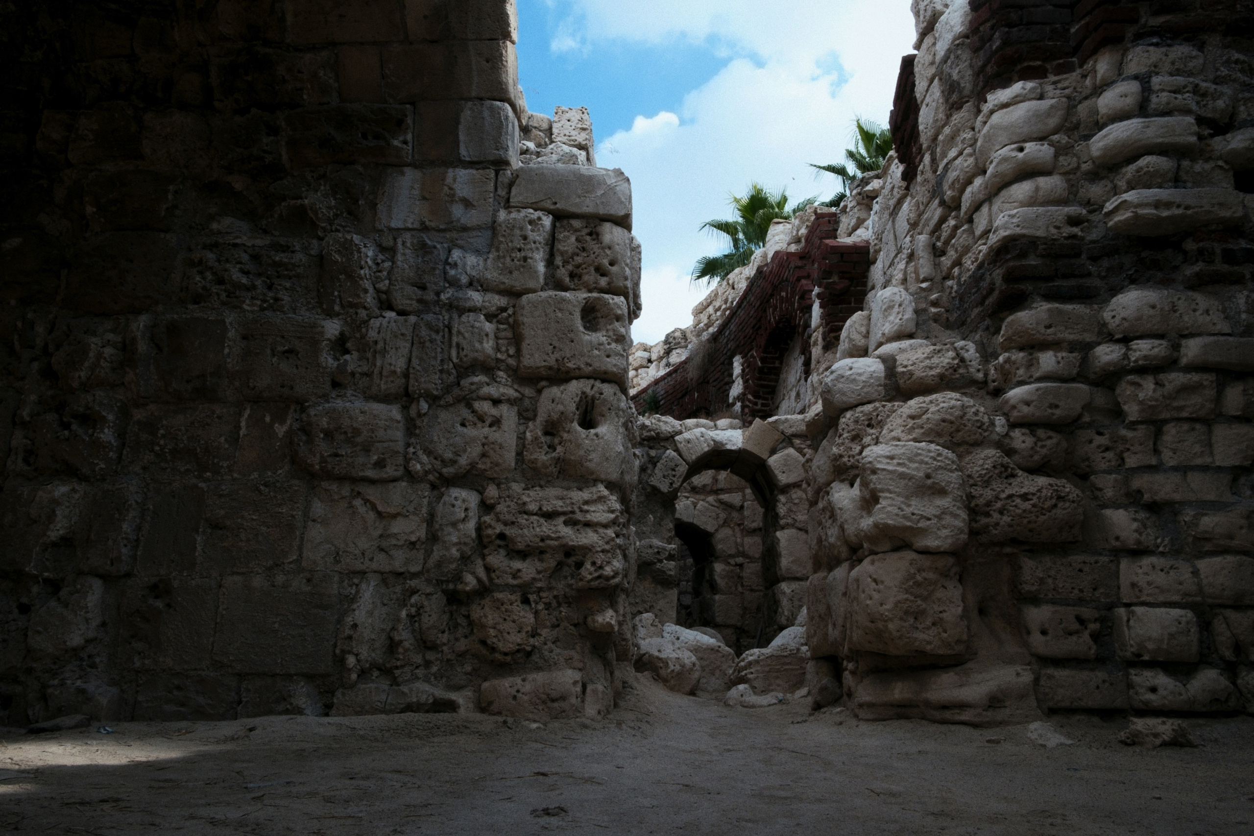 Alexandria / Egypt AW25. Фотограф Юрин Евгений