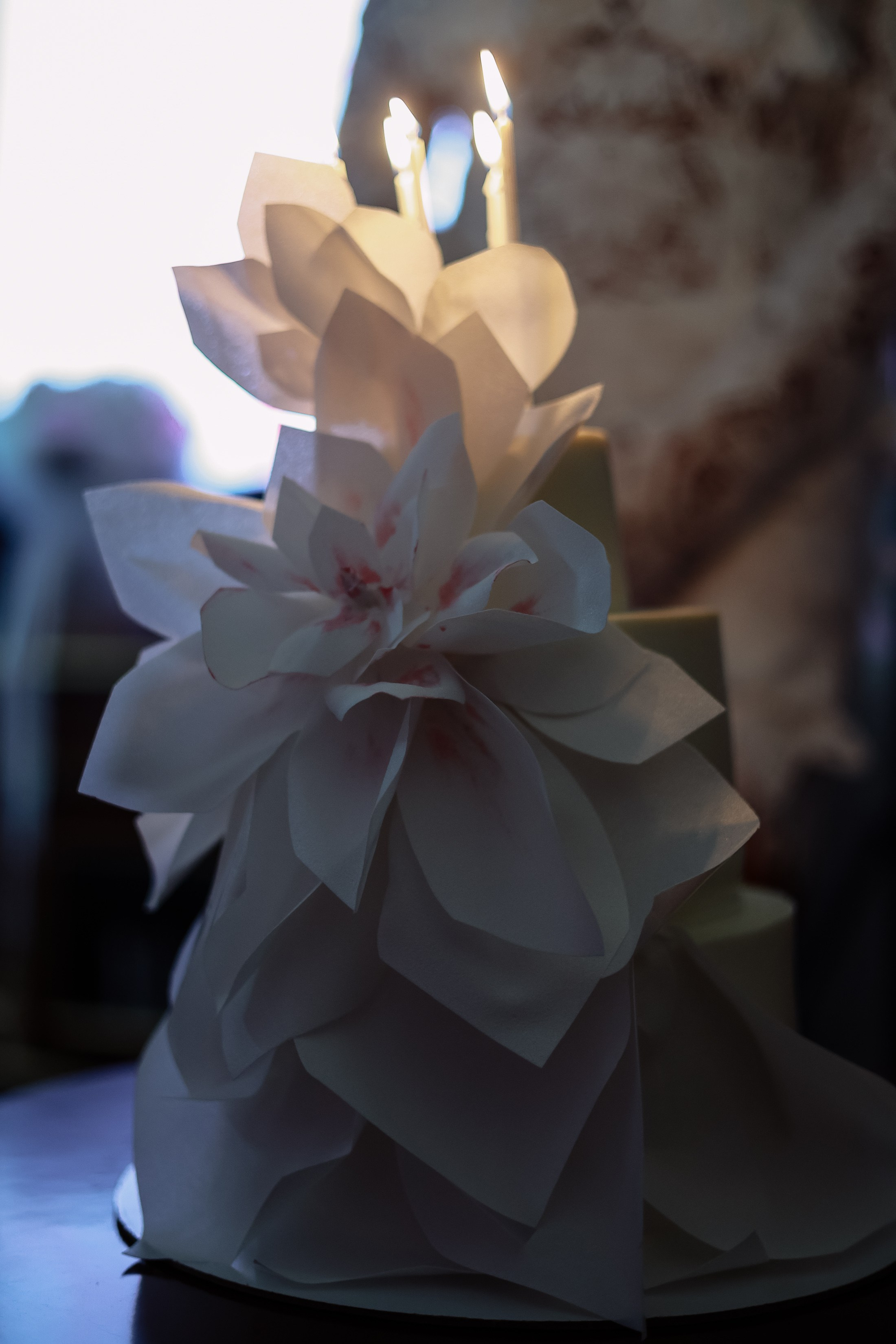 Юбилей. Фотограф Юлия Мальцева