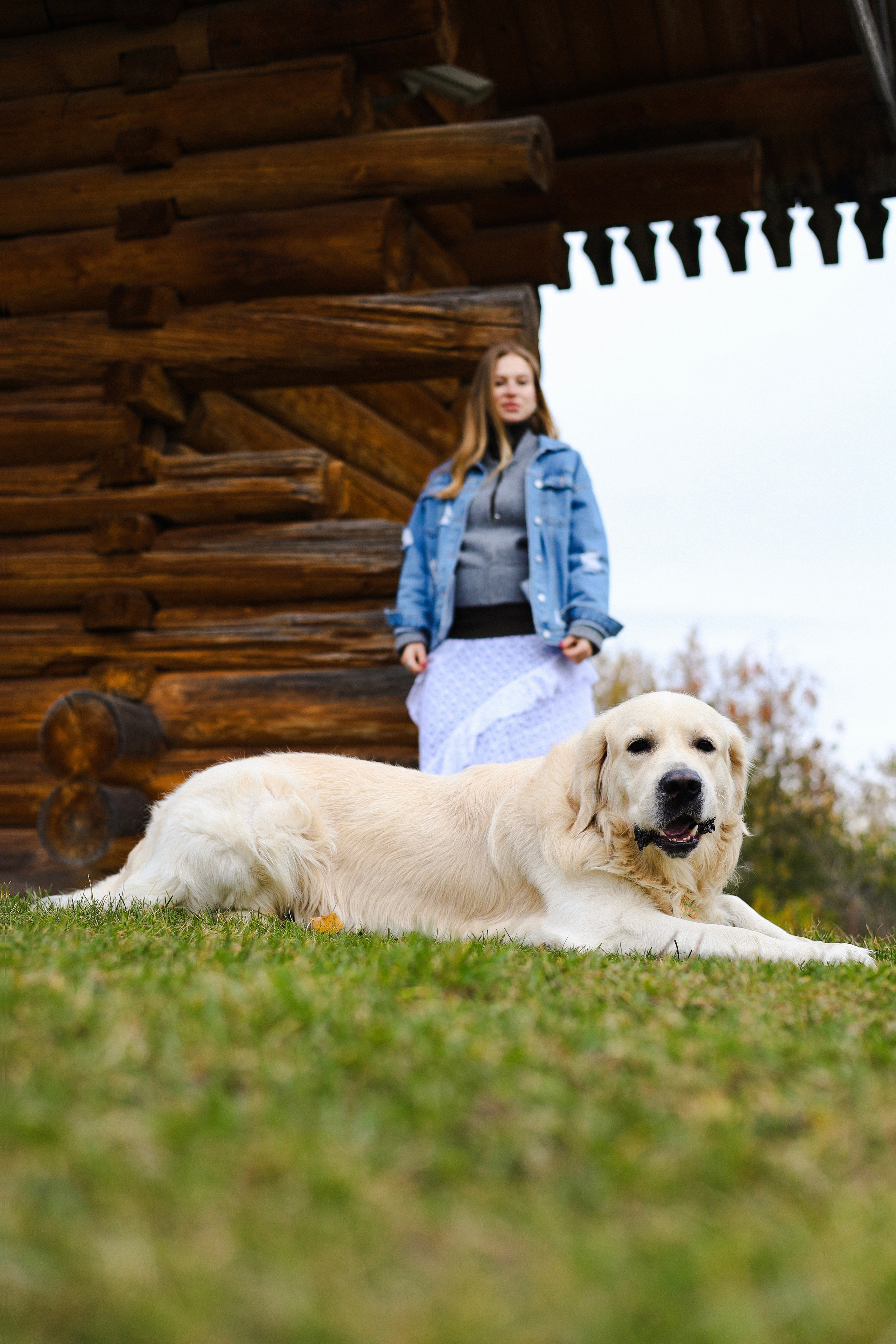 Фрэнк, Даша и Максим. Фотограф-анималист Ксения Шевцова|Москва