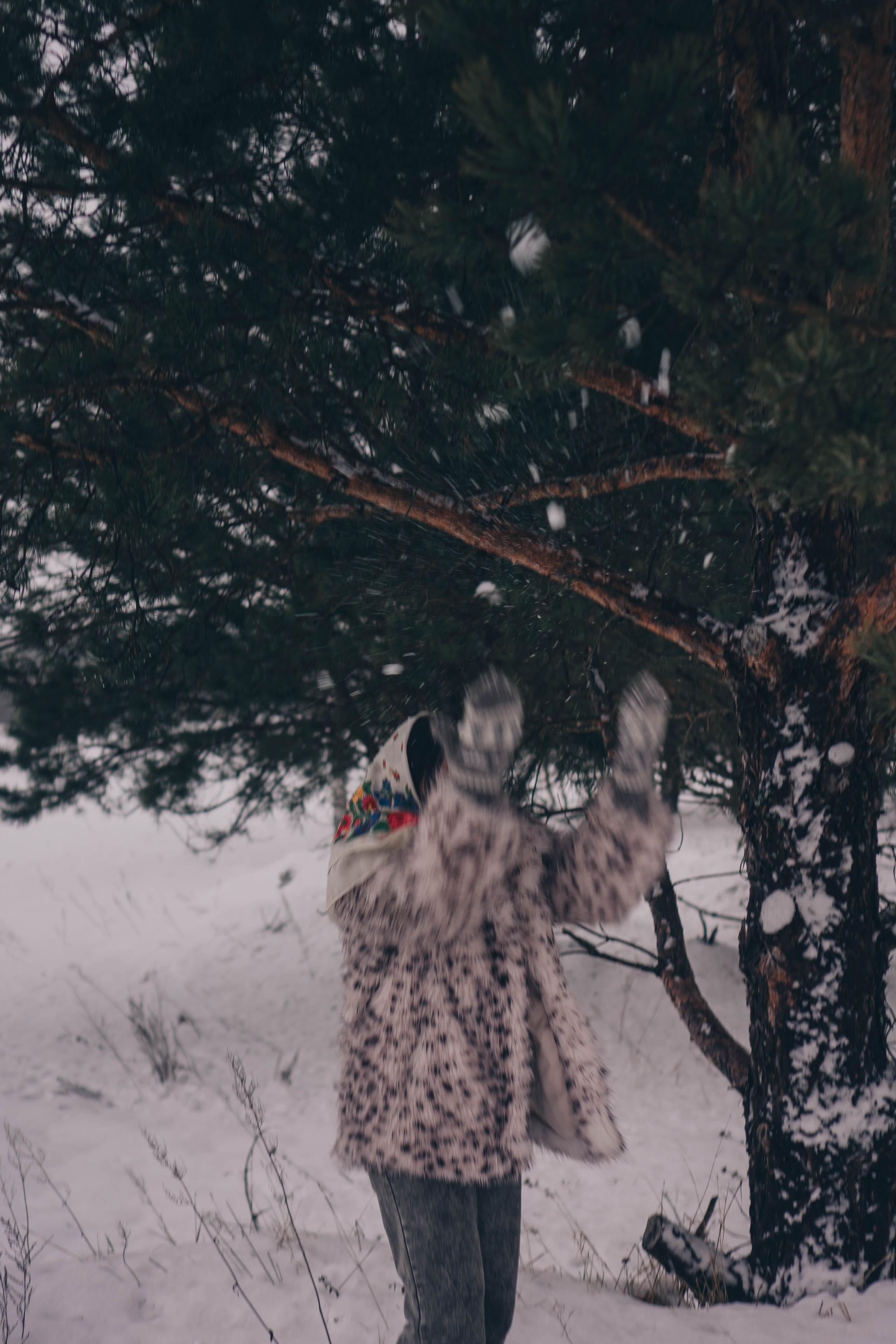 Деревня. Профессиональный фотограф, Санкт-Петербург — Виктория Богомолова