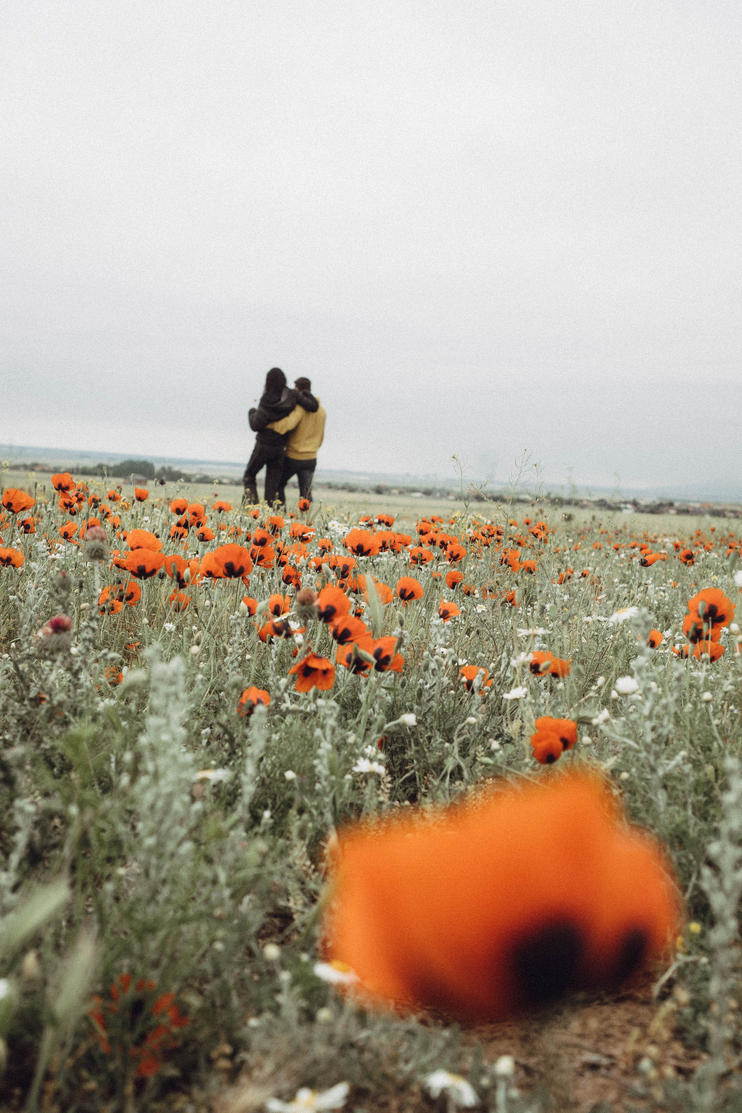 Любовь в маковом поле. Профессиональный фотограф, Санкт-Петербург — Виктория Богомолова