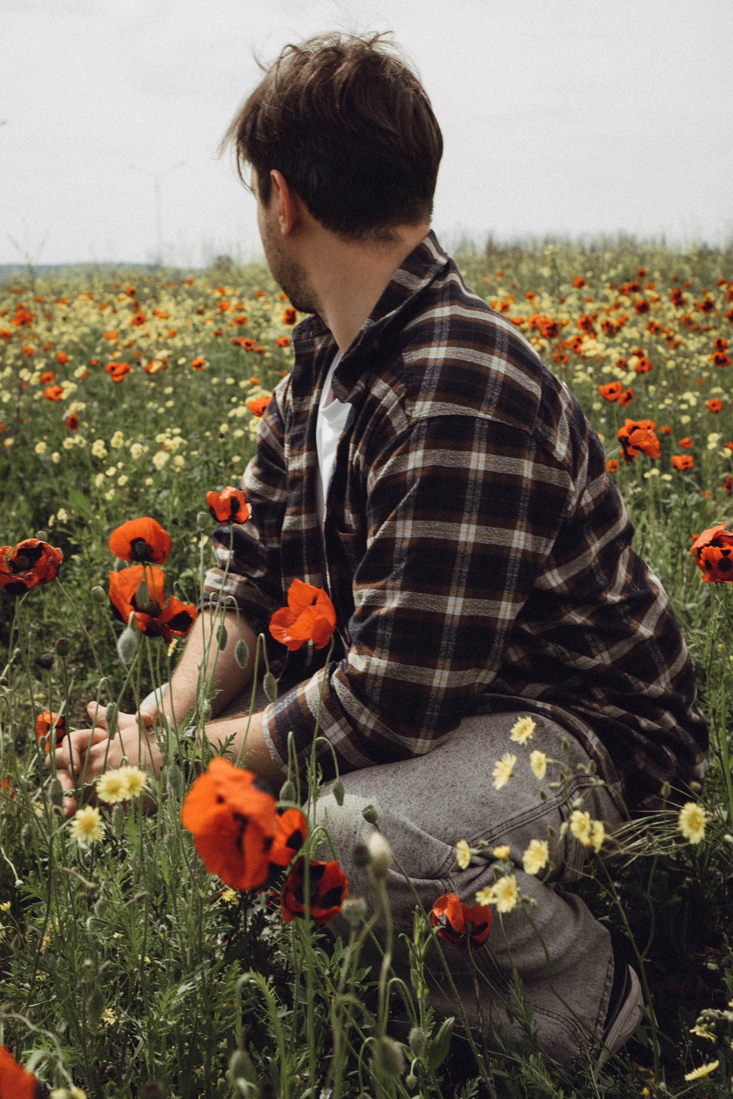 Маки. Профессиональный фотограф, Санкт-Петербург — Виктория Богомолова