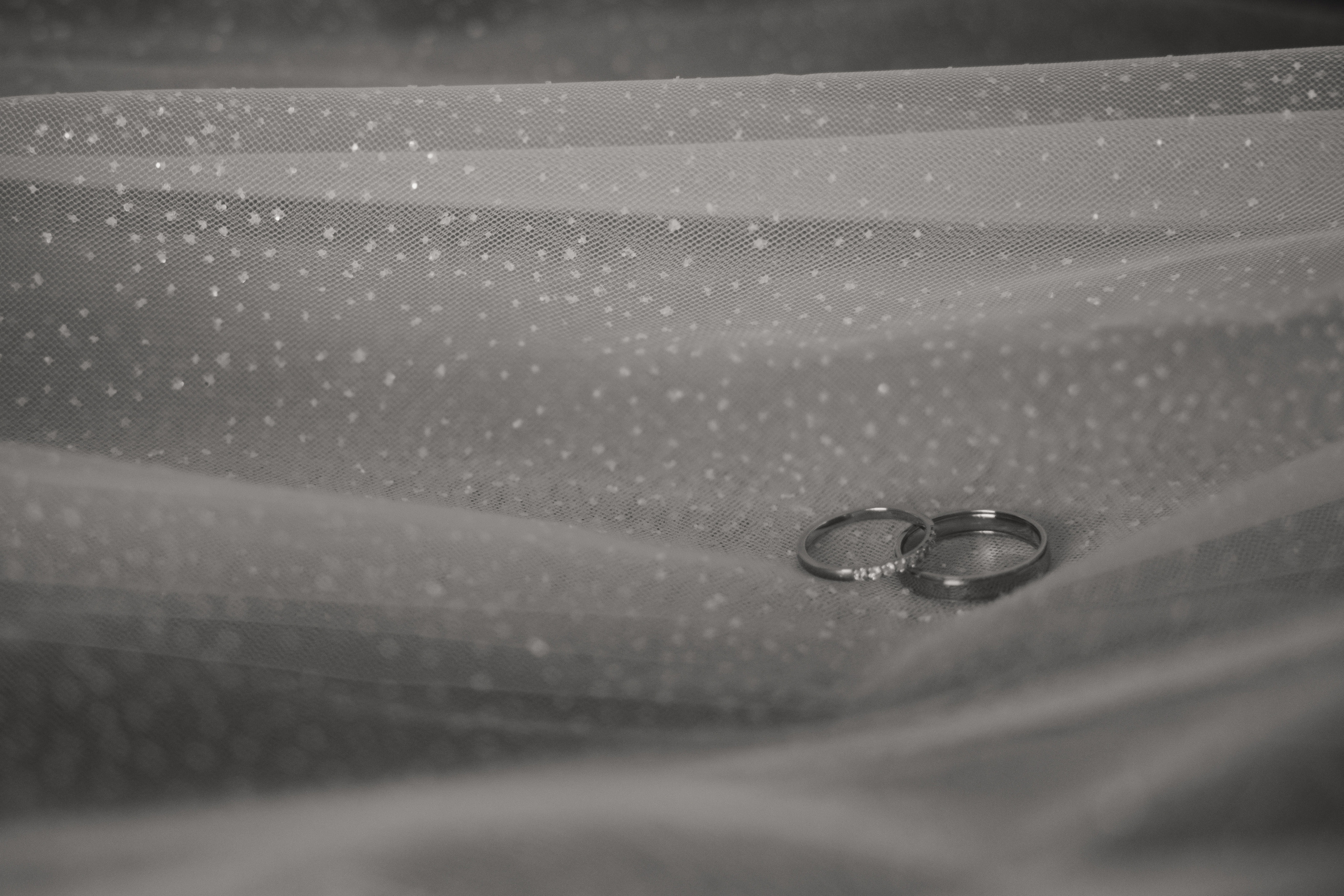 V&M. Свадебный и семейный фотограф в Самаре и Тольятти | Елена Топанцева