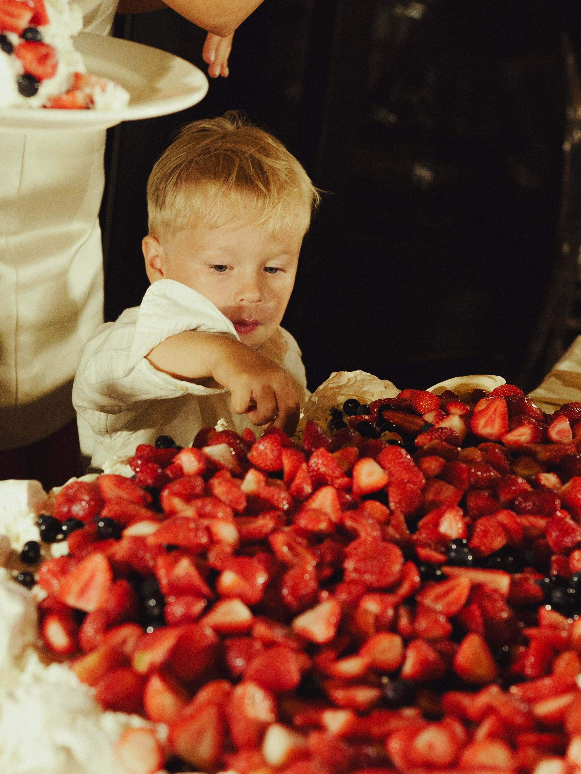 И даже птицы им пели песни. Свадебный фотограф Наташа Алешина