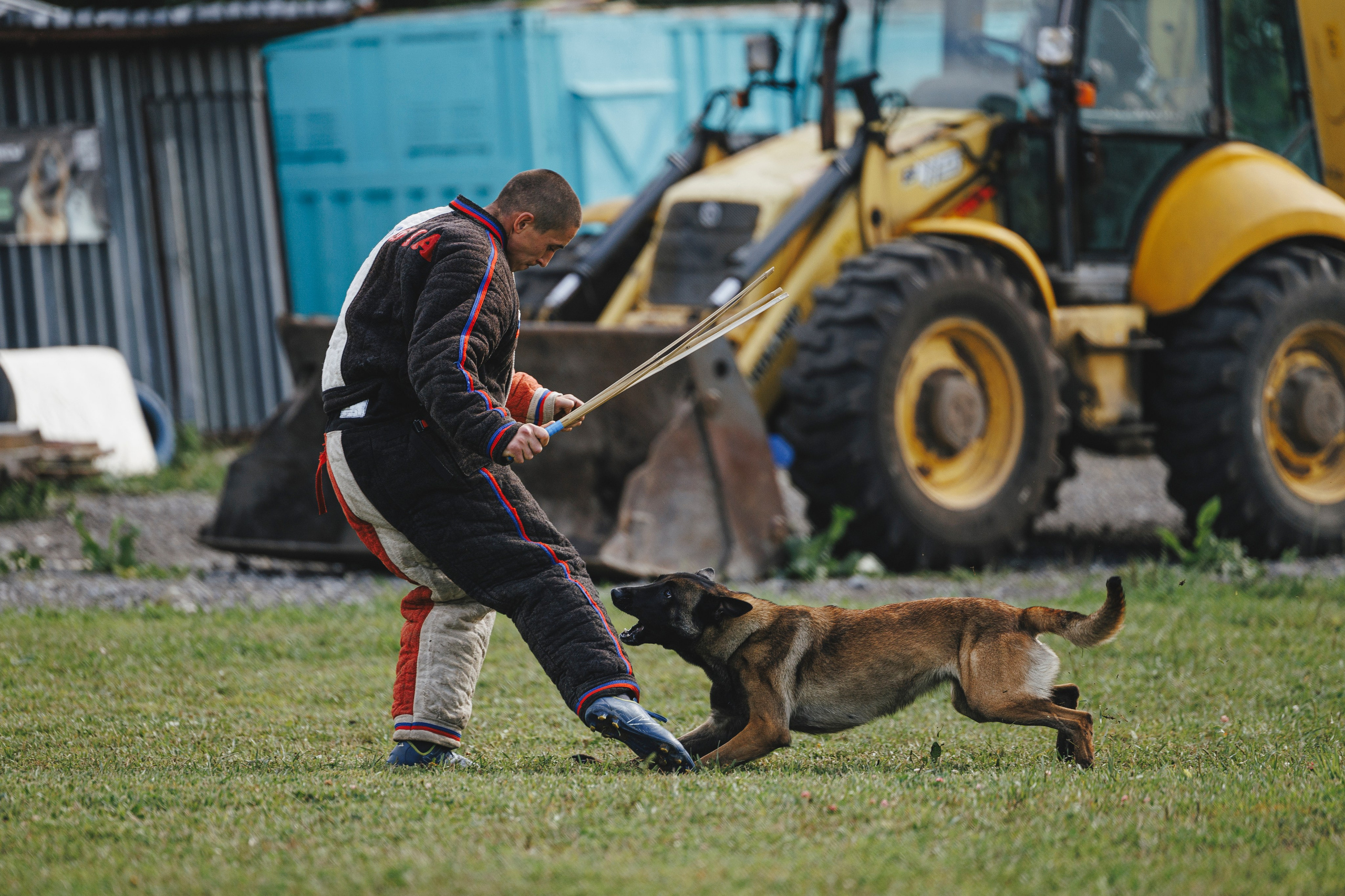 08.08.25-10.08.25 ЧР по мондьорингу г. Вологда. Фотограф-анималист Анна Маринич