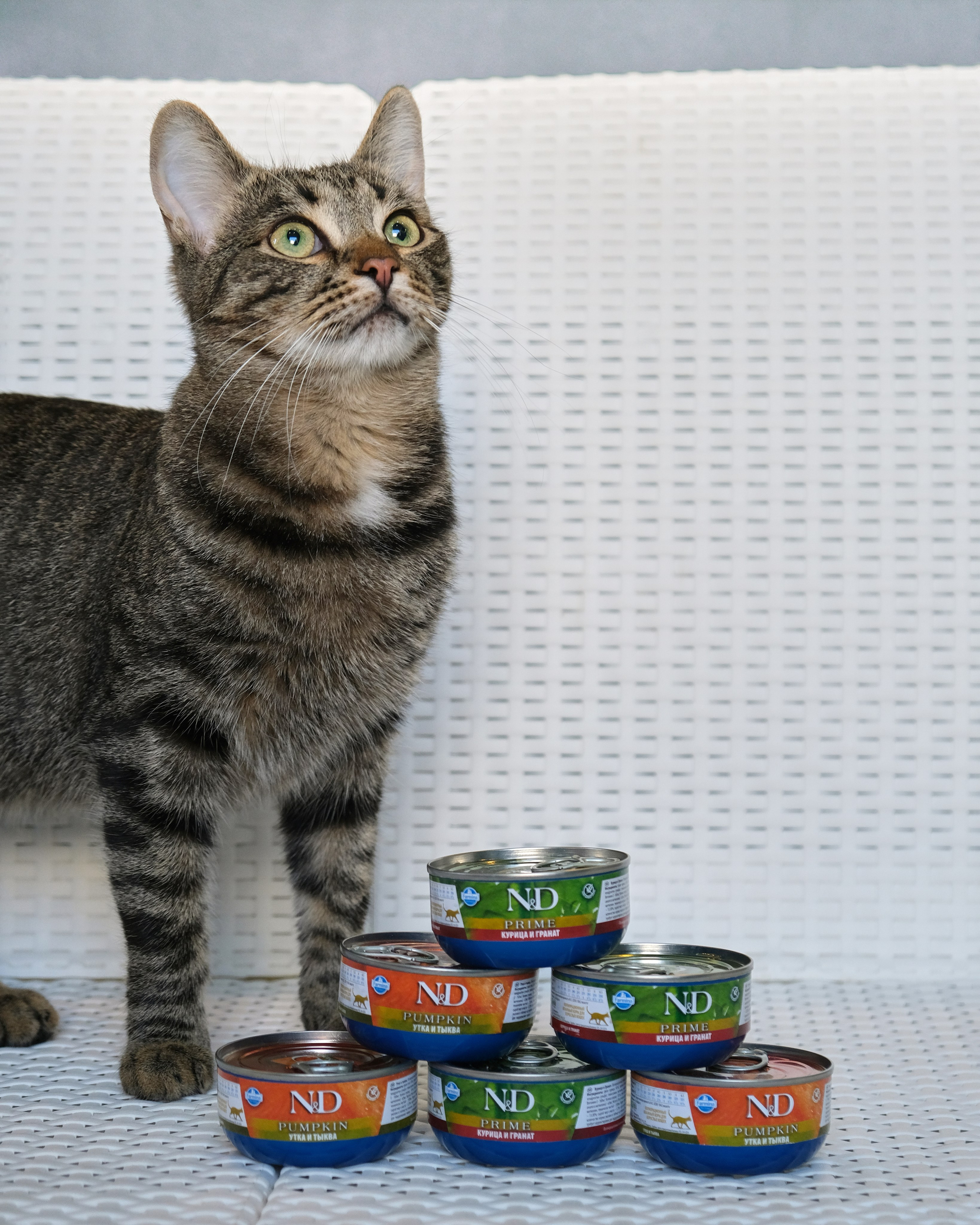 Farmina Pet Fods. Anna Prokhorova Photography