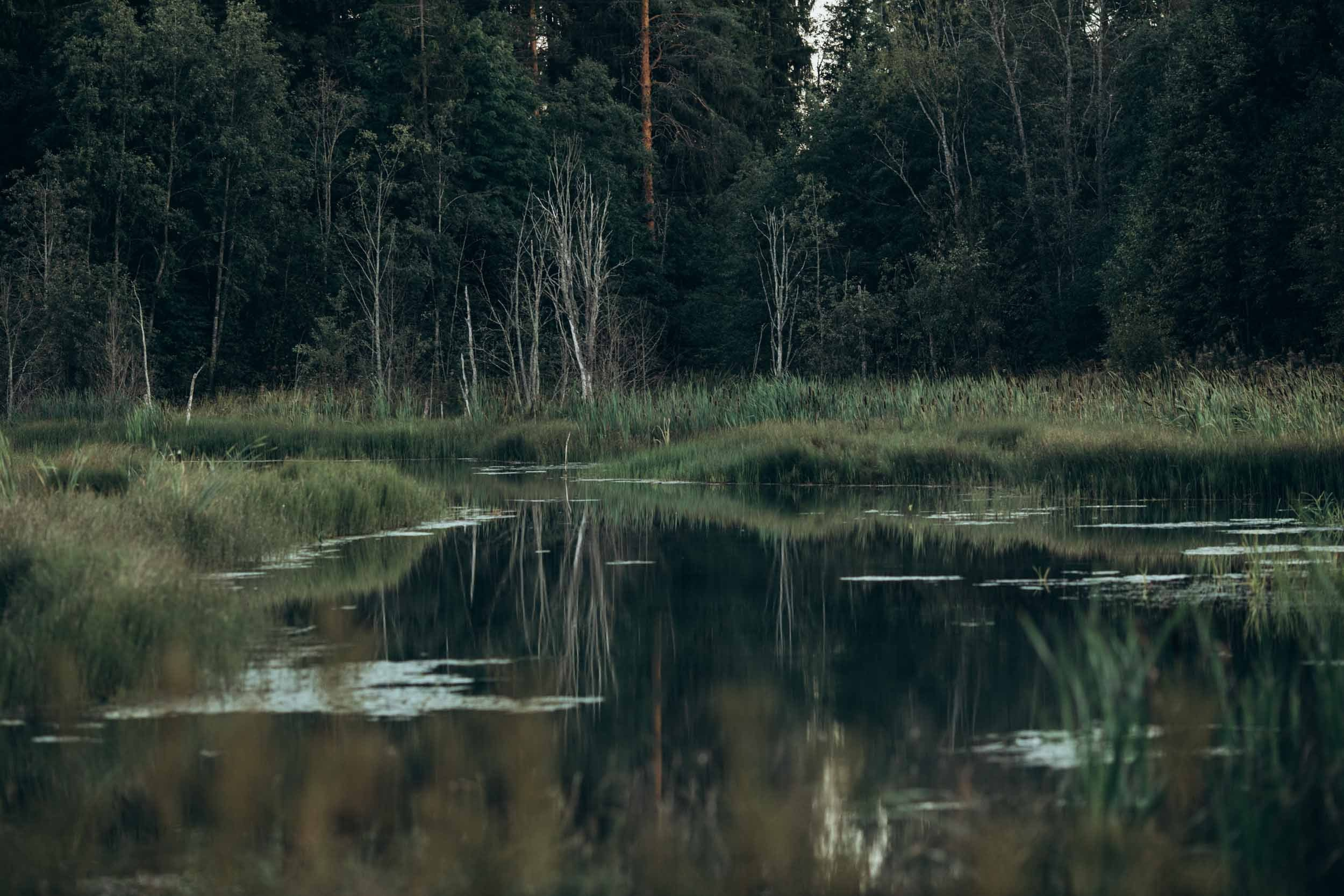 Природные пейзажи. Наталия Клевинскас портретный фотограф в Костроме