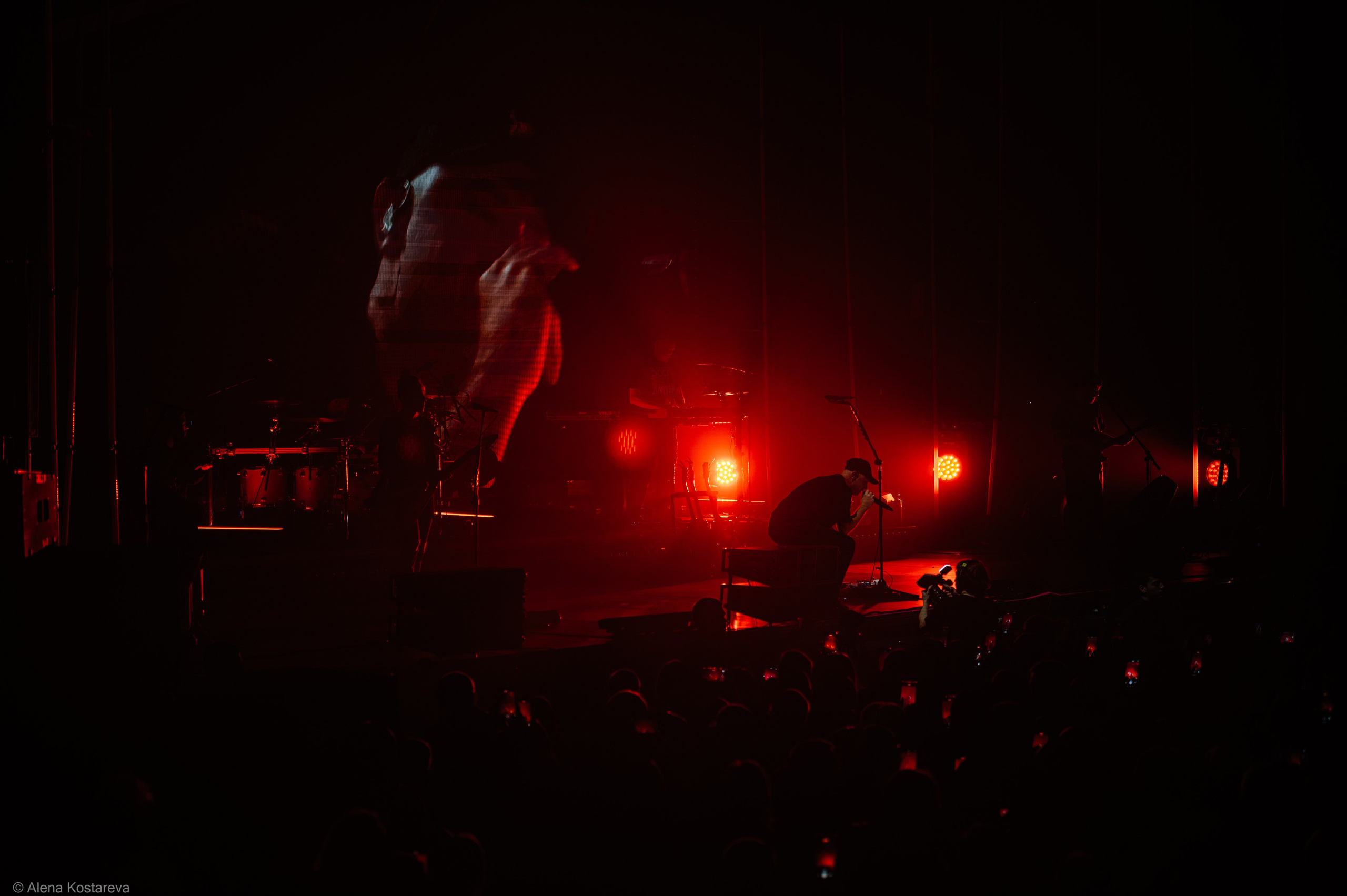 Звери. Алена Костарева. Фотограф в Ростове-на-Дону