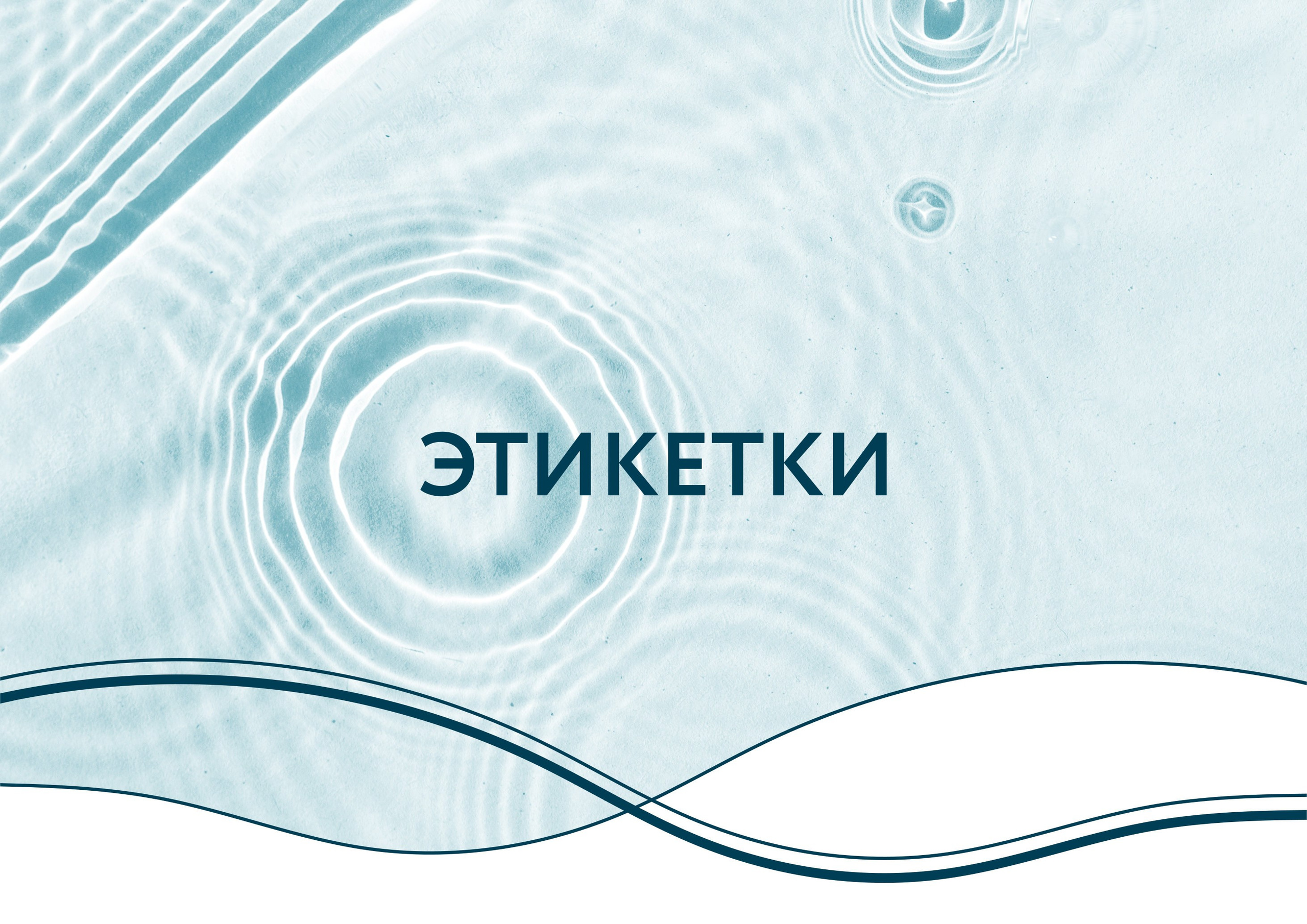 О дизайнере