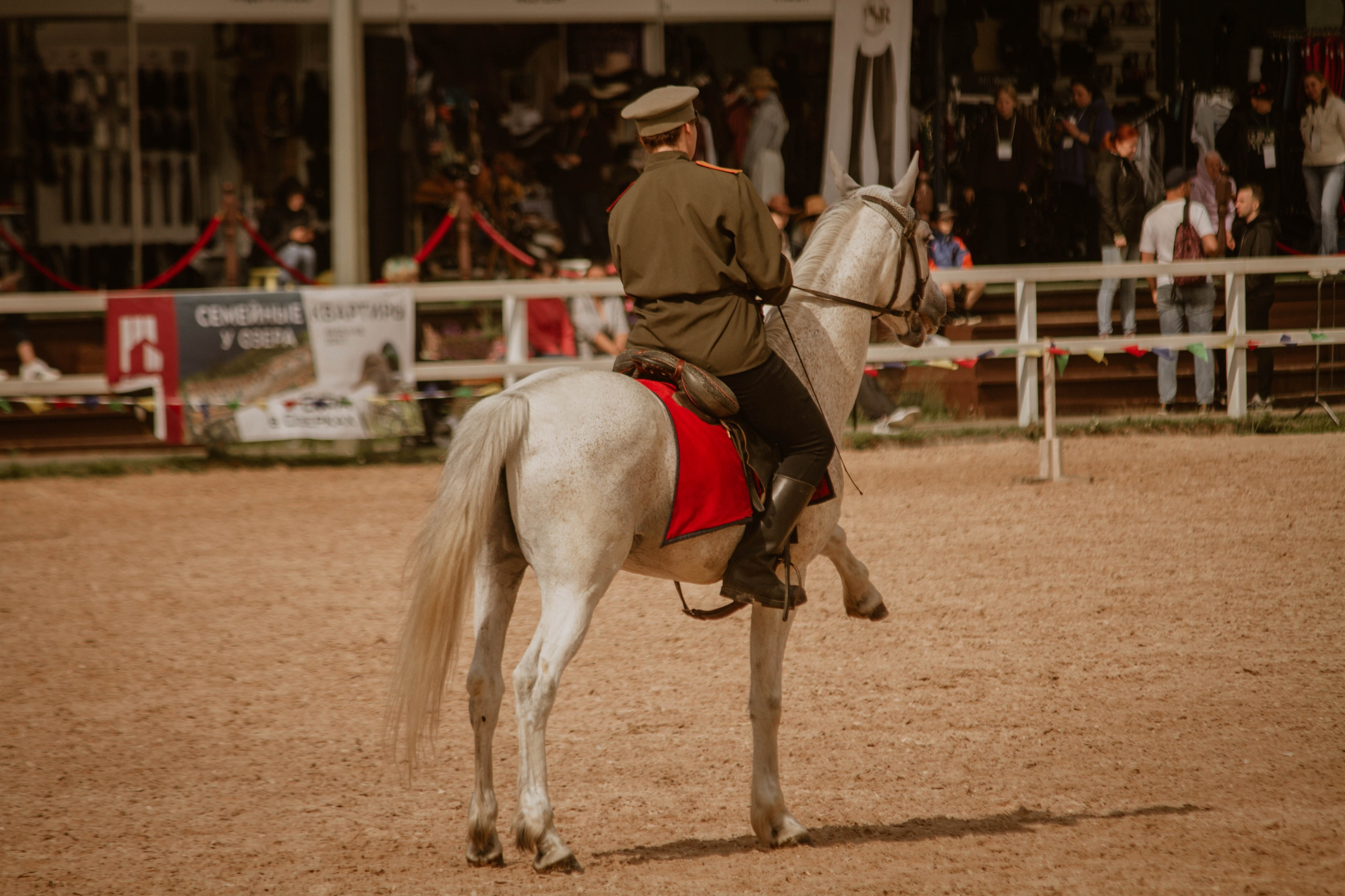 ИППОСФЕРА — Международная конная выставка. Создадим шедевр? Виталина и её фотоискусство