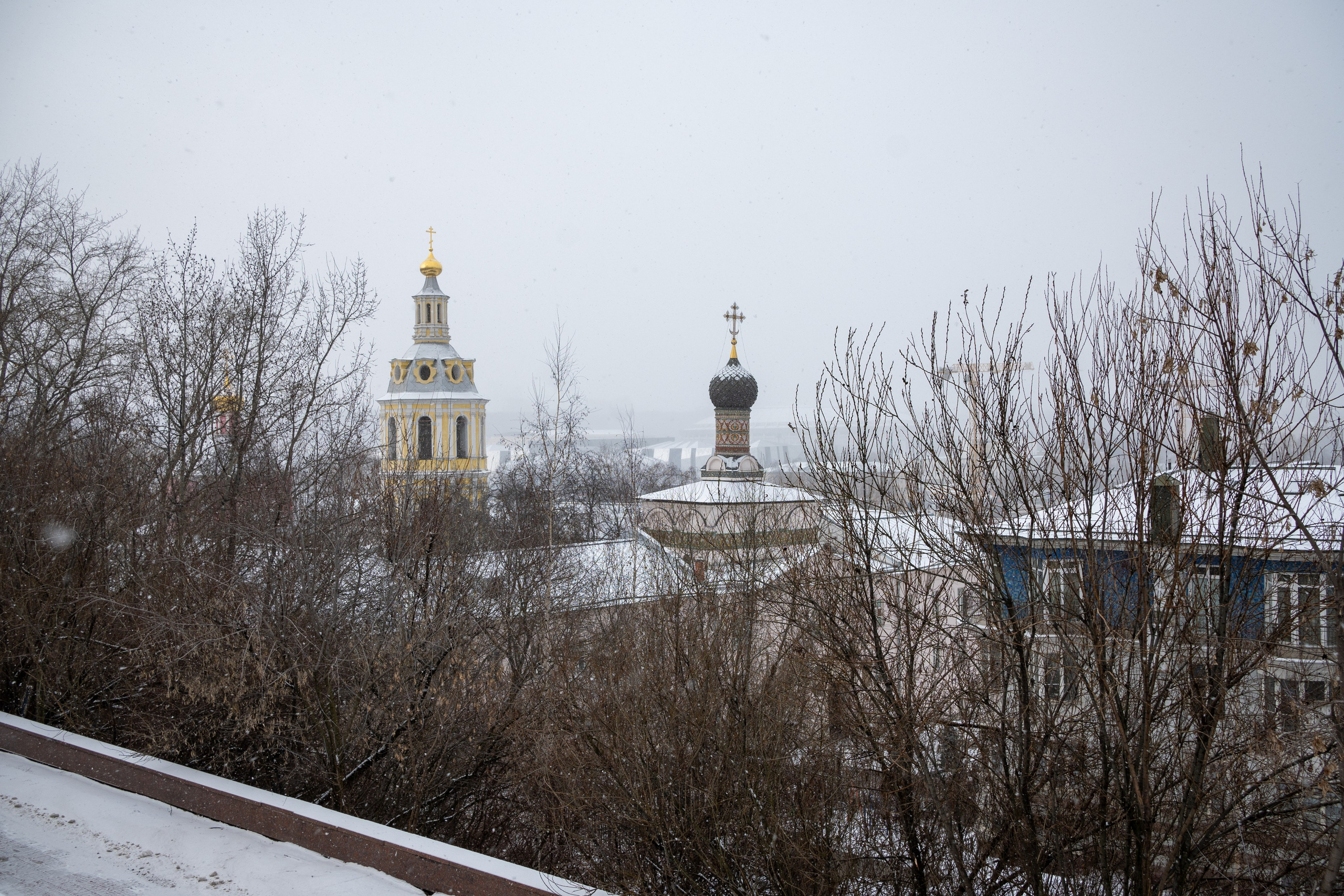 20250216 Нескучный сад. Дмитрий Ремизов. Фотография, как хобби