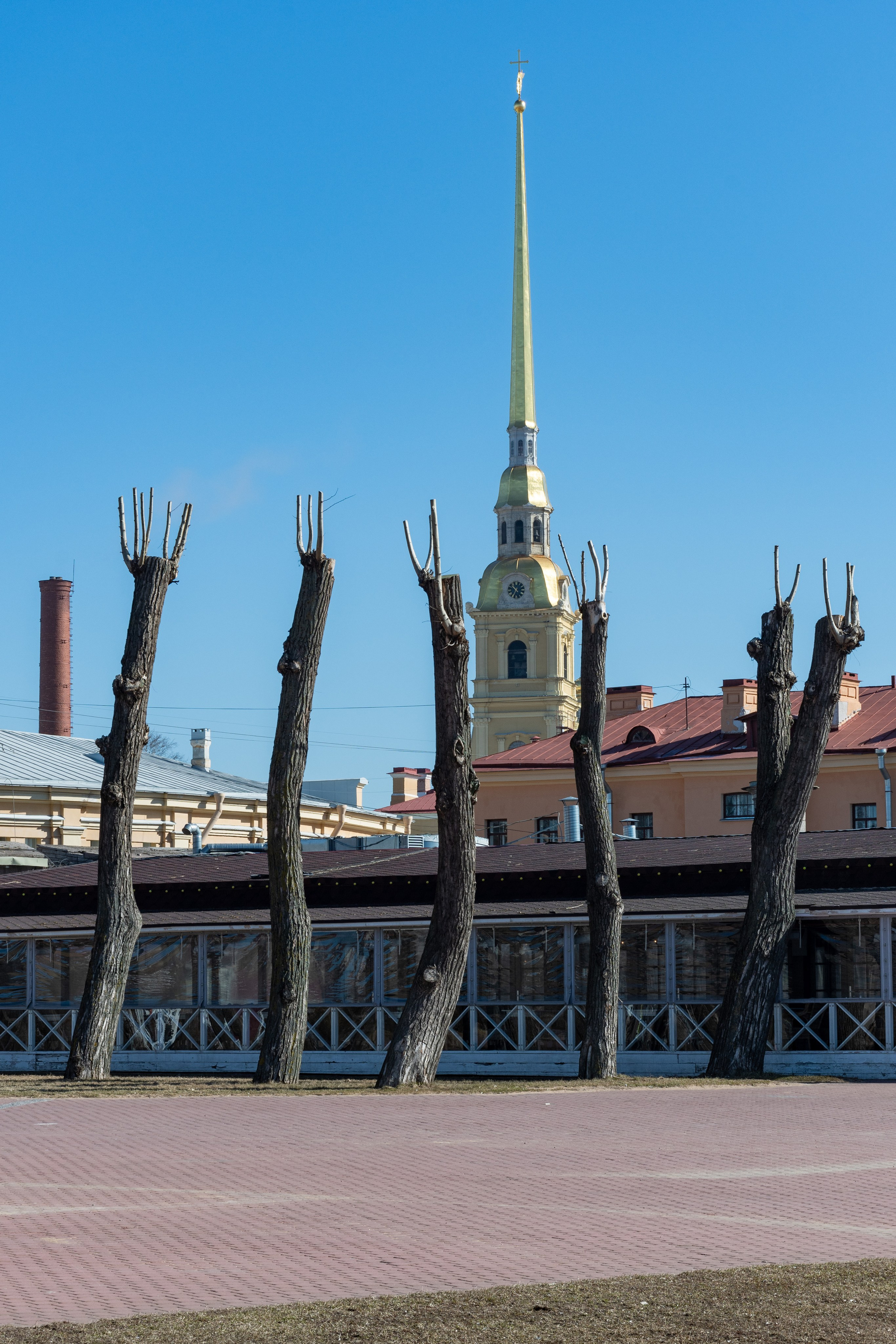 20220411-16 Санкт-Петербург. Дмитрий Ремизов. Фотография, как хобби