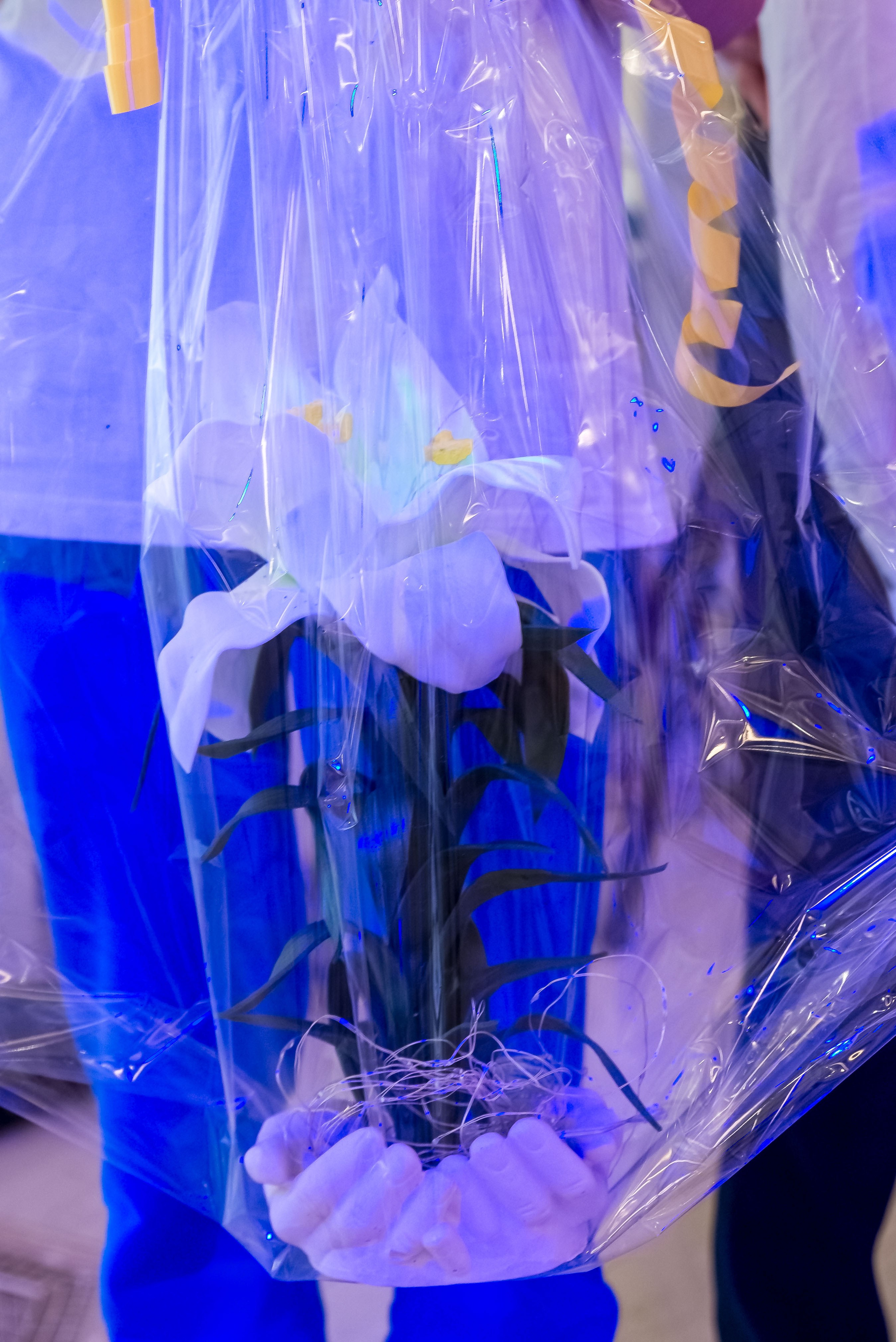 Фестиваль Ради мира от АУКЦИОН ДОБРА 🔥. Женский фотограф Крещение Венчание Москва Брянск