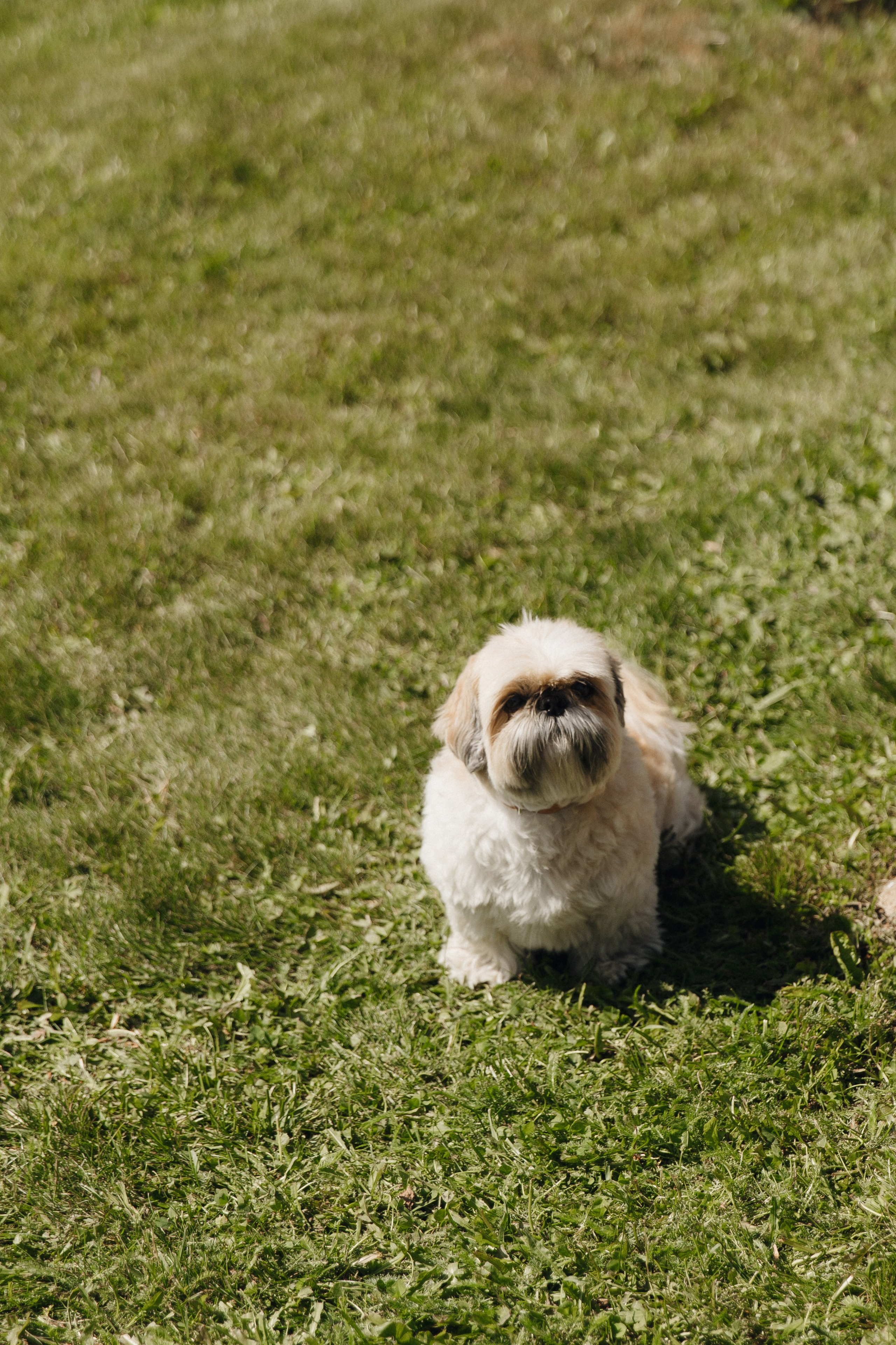 Игнат и Арина. Брысина Алёна/ фотограф Петрозаводск, Карелия
