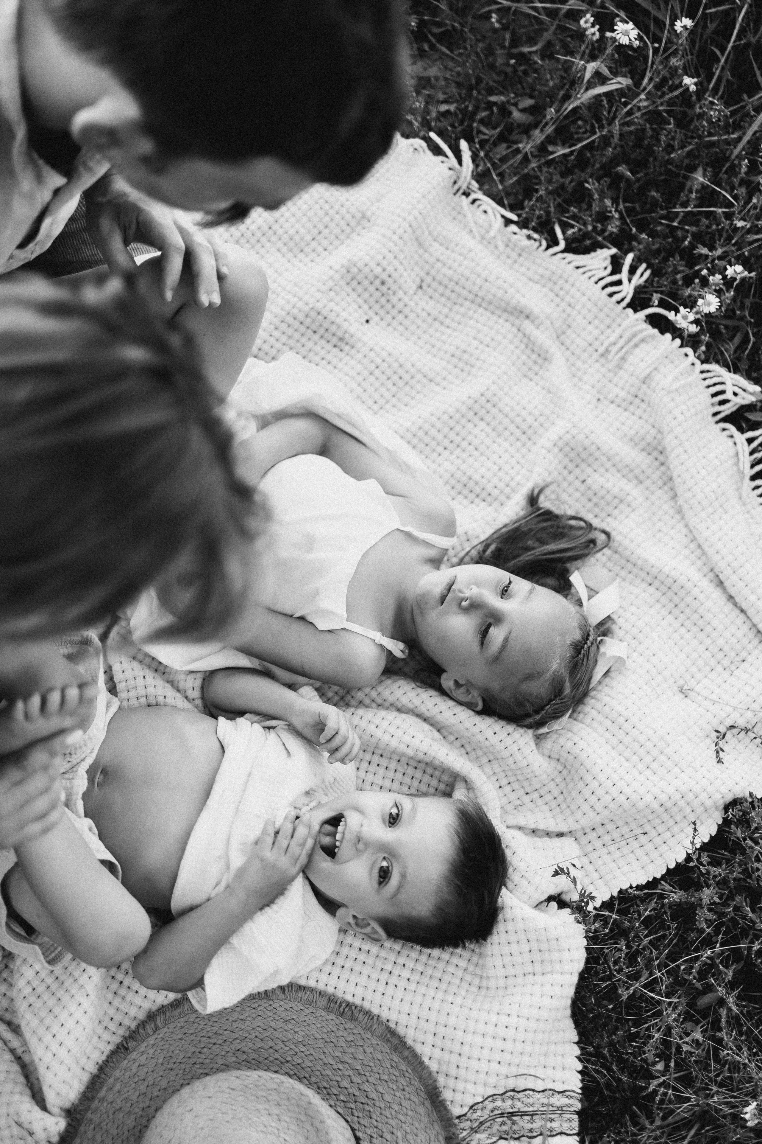 Летний вечер. Евгения Пелипас