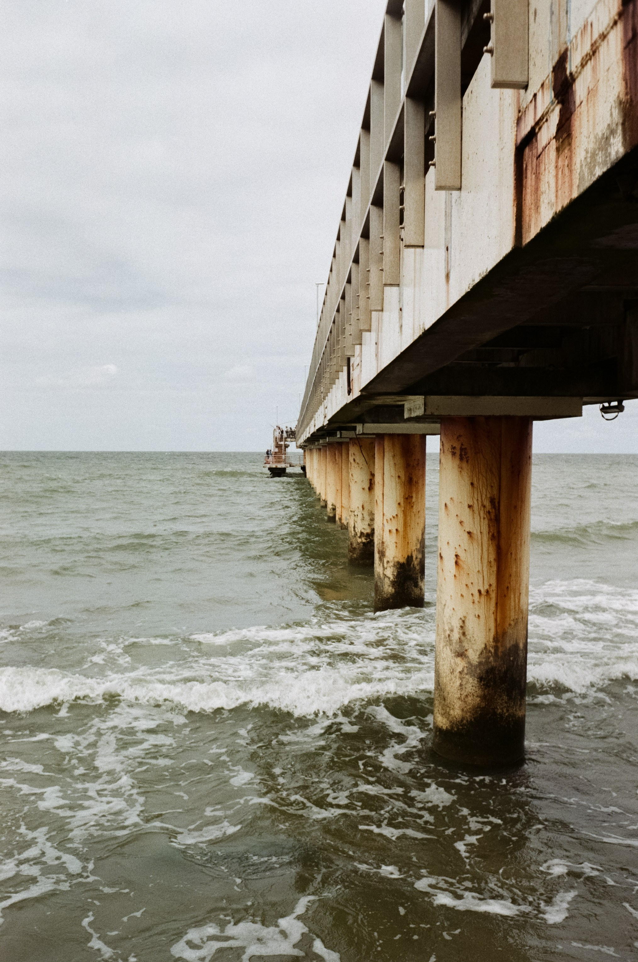 Калининград остров Канта, Кафедральный собор / Minox 35 GT (2)