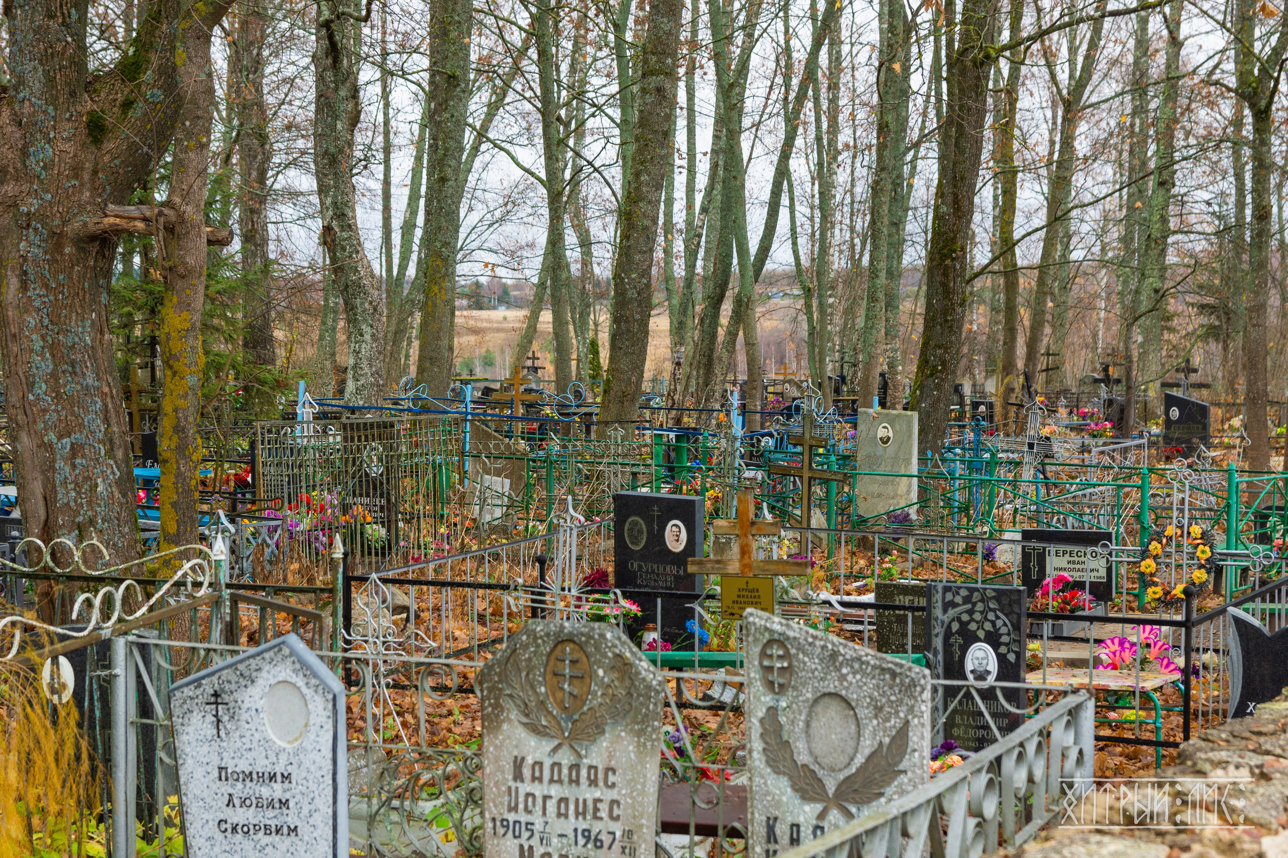 Изборск- Печоры-Псков-Новгород-Торжок. Фотограф-путешественник Самойлов Максим «Sly Fox»