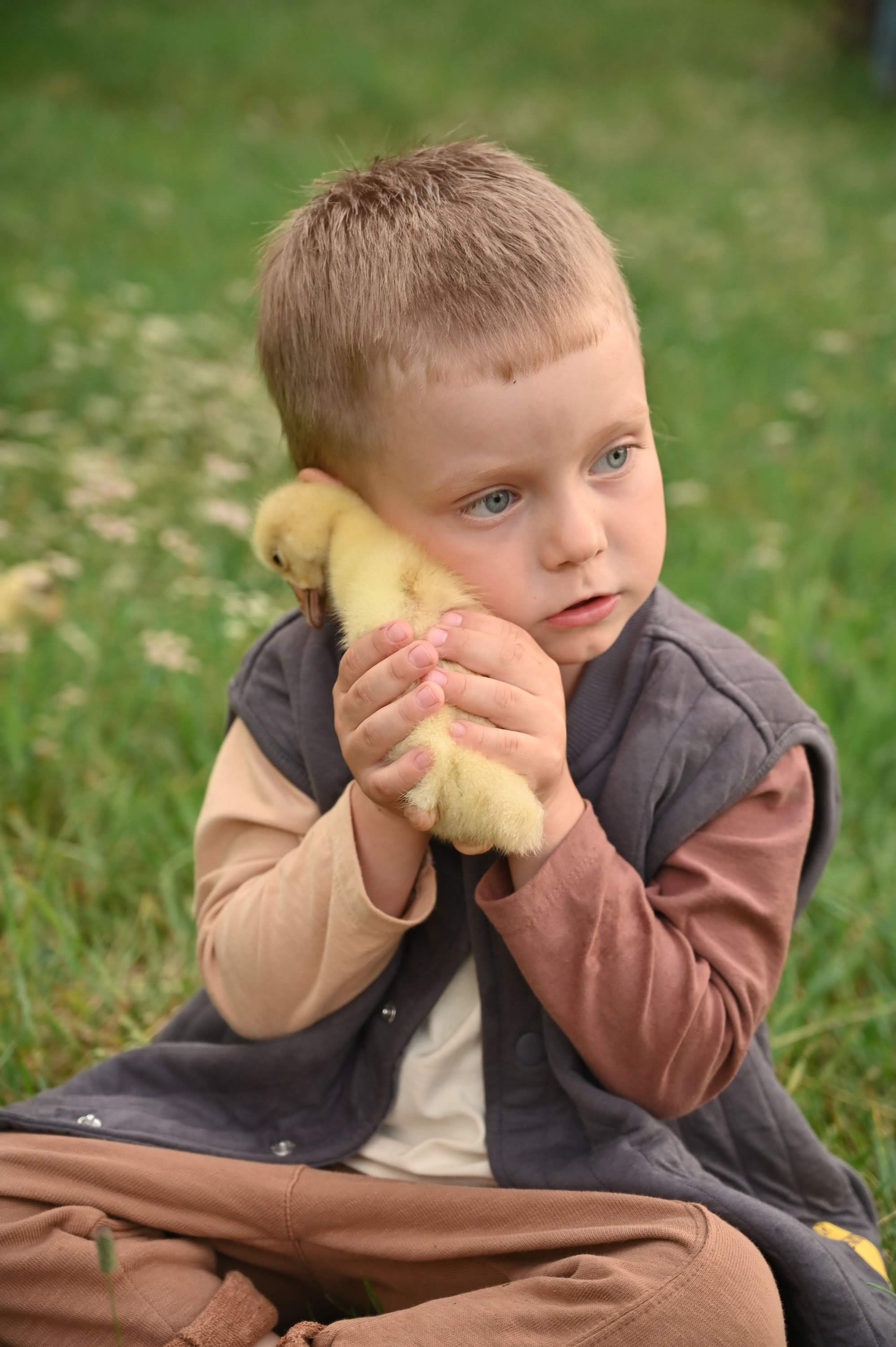 Дети и гусята. Семейный и детский фотограф в Хакасии