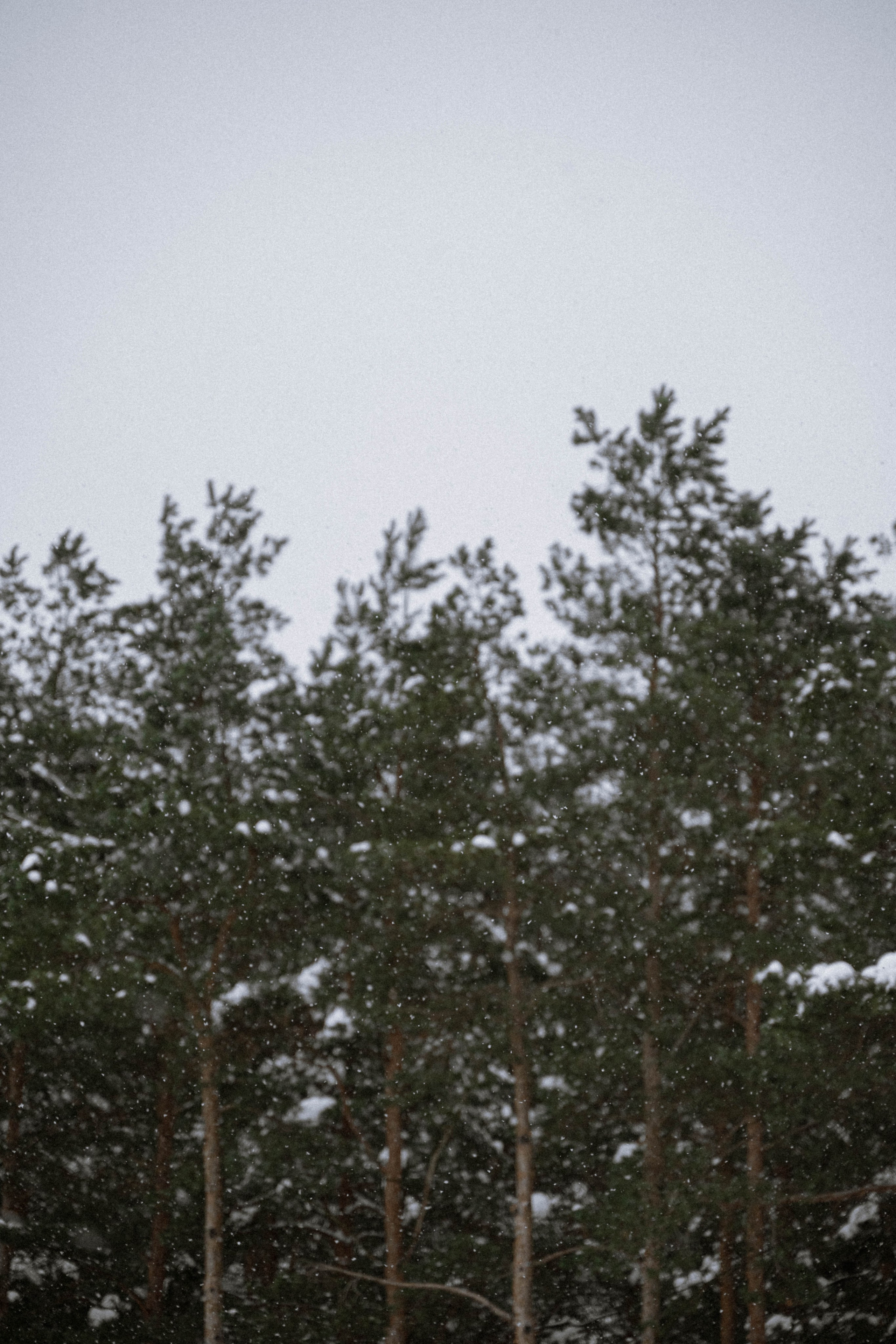 Уютные истории. Главная