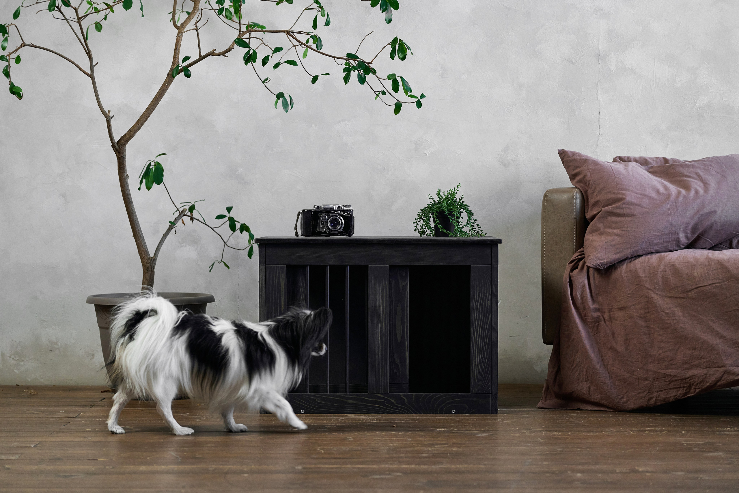 Мебель маркетплейсы. Фотограф Опыт Качество Скорость Горный Алтай Барнаул