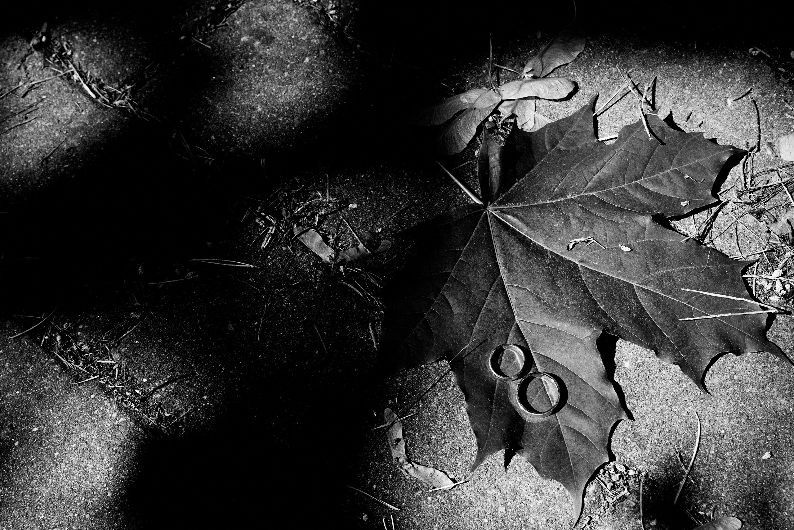 Наедине с природой. Свадебный и семейный фотограф в Ярославле и Рыбинске Вячеслав Барышков