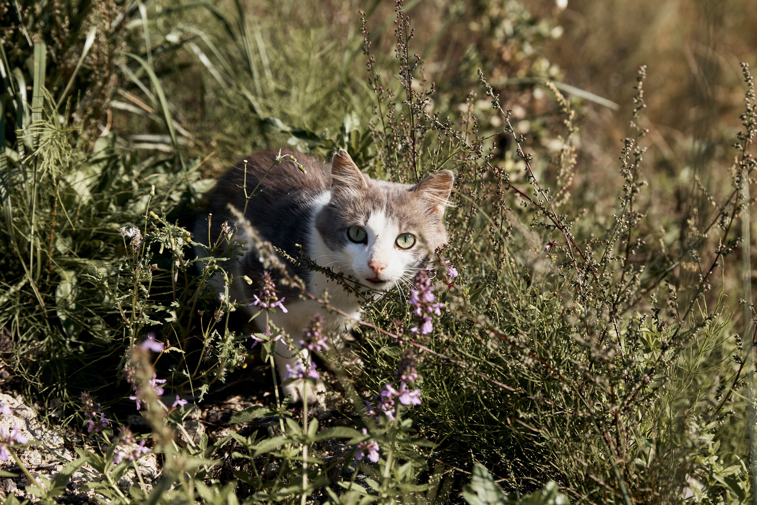 Лето, солнце, жара. Свадебный и семейный фотограф в Ярославле и Рыбинске Вячеслав Барышков