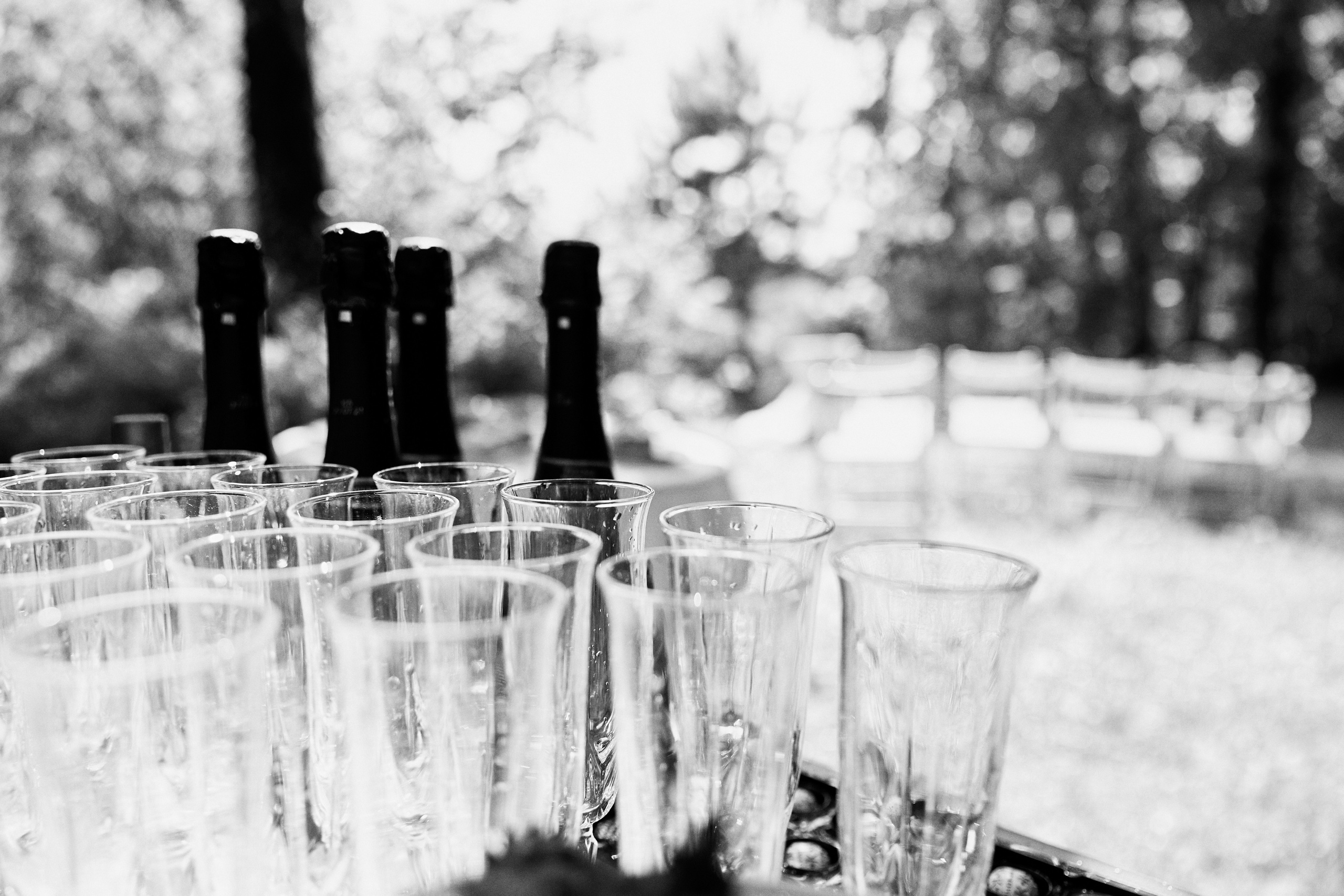 Наедине с природой. Свадебный и семейный фотограф в Ярославле и Рыбинске Вячеслав Барышков