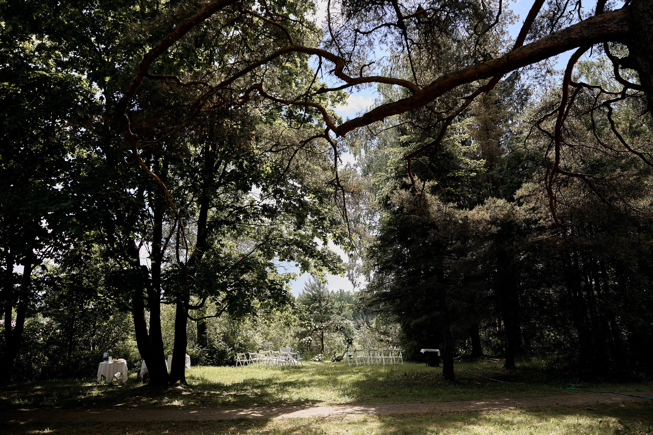 Наедине с природой. Свадебный и семейный фотограф в Ярославле и Рыбинске Вячеслав Барышков