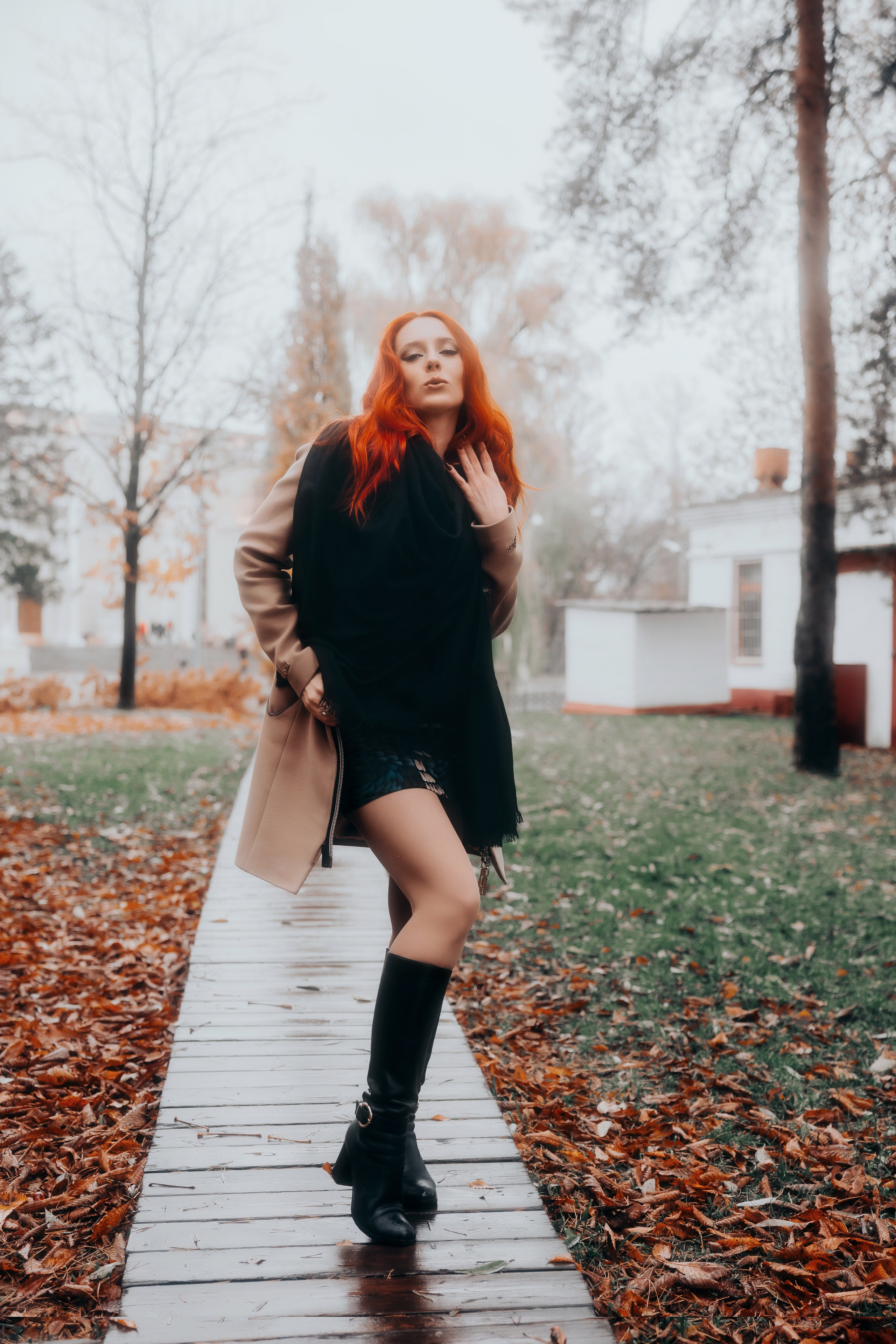 ALEXSANDRA. Shamirov Arkadiy