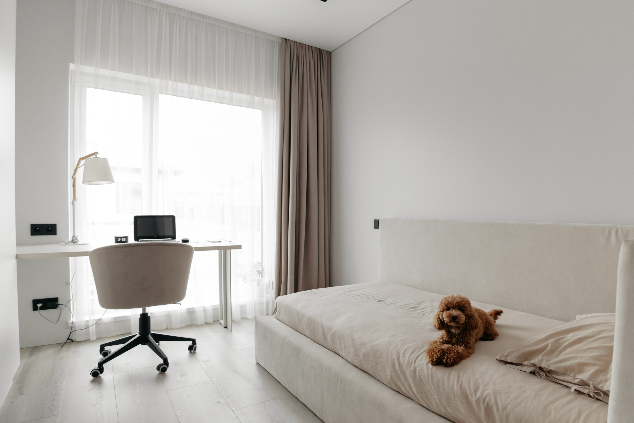 Интерьер. Свадебный фотограф в Пскове и Санкт-Петербурге | Анна Голикова