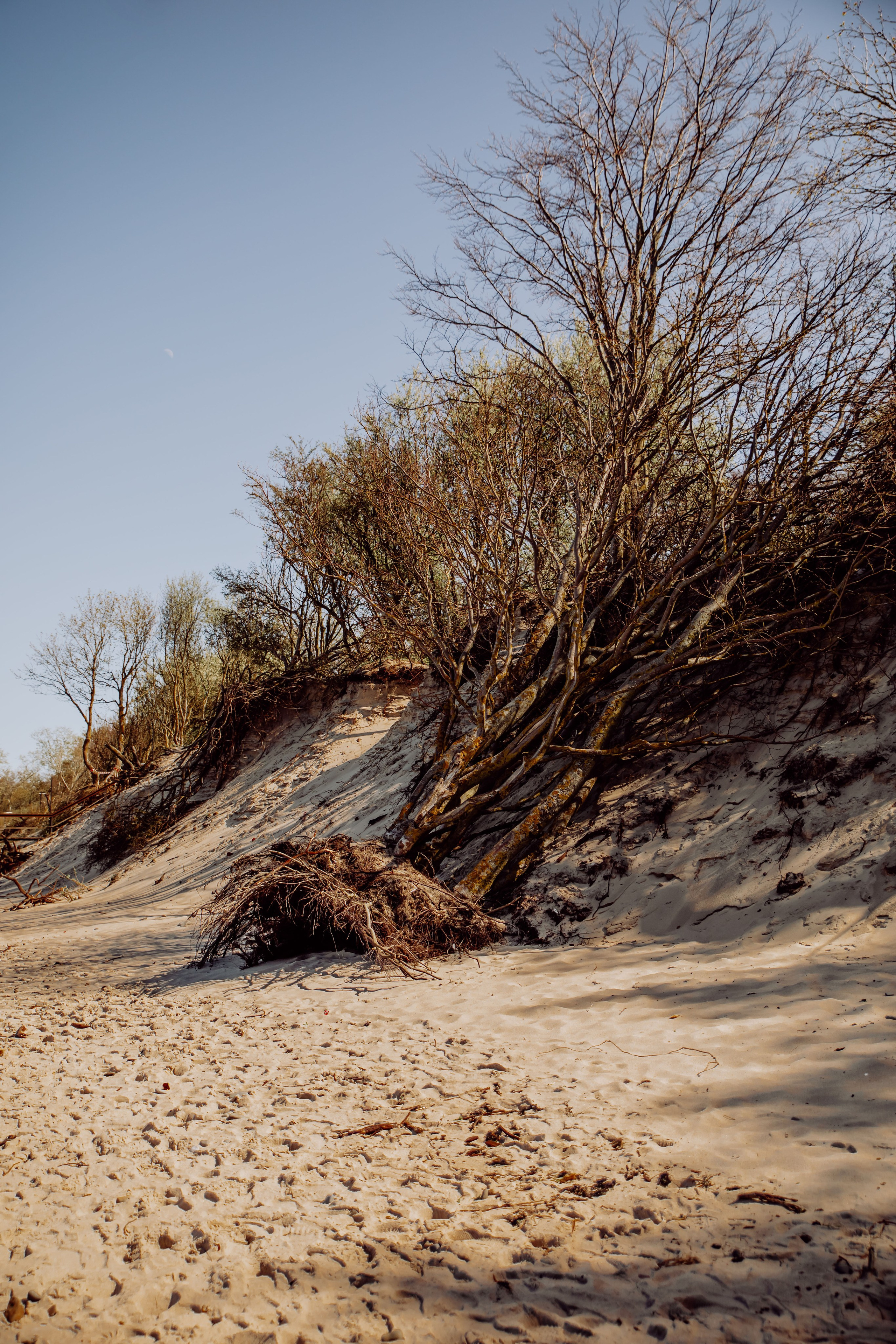 Анна. Фотограф Амалия Ахмедова, Калининград