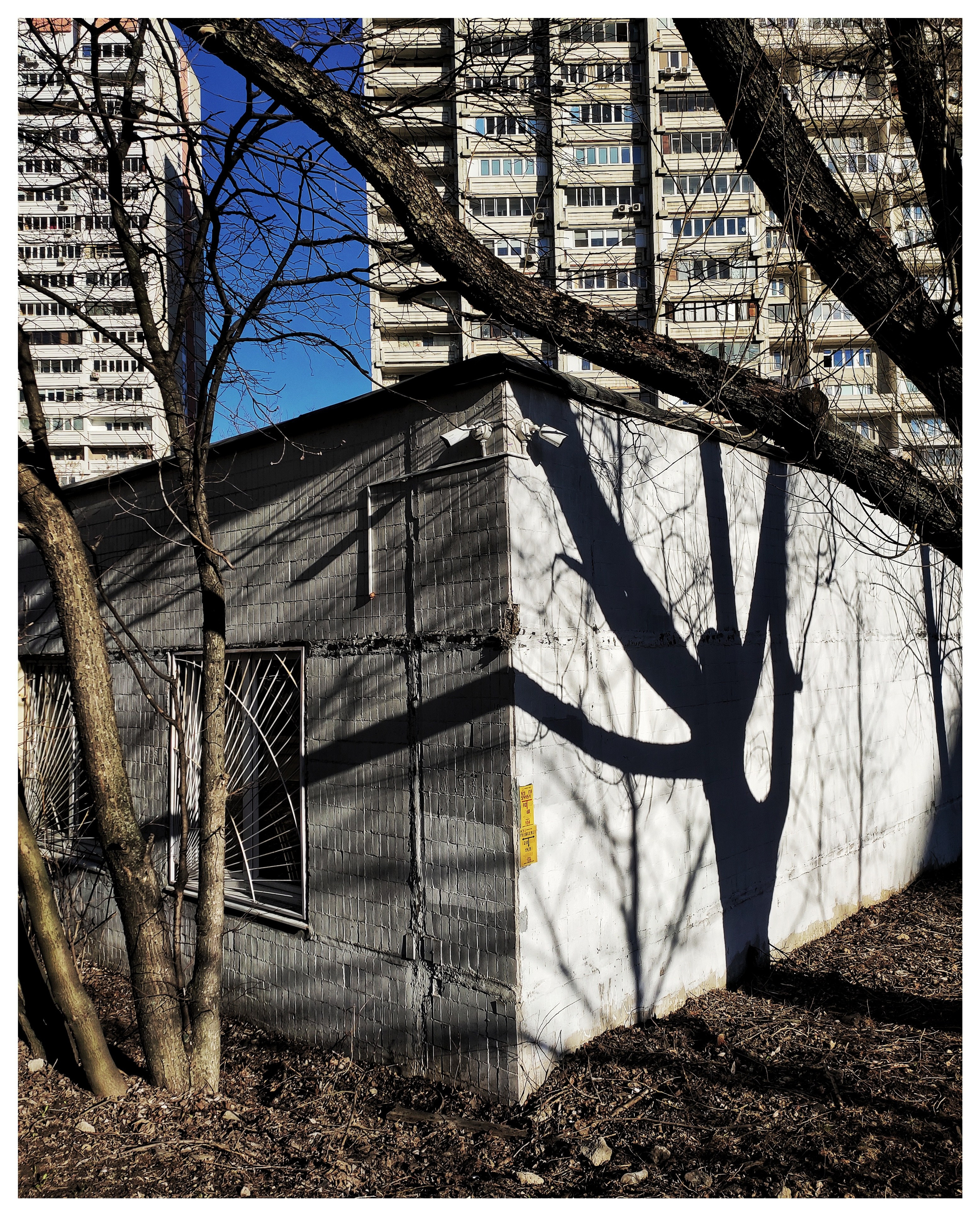 Мир повседневных Вещей. Репортажный и портретный фотограф, Влад Хафизов, Москва