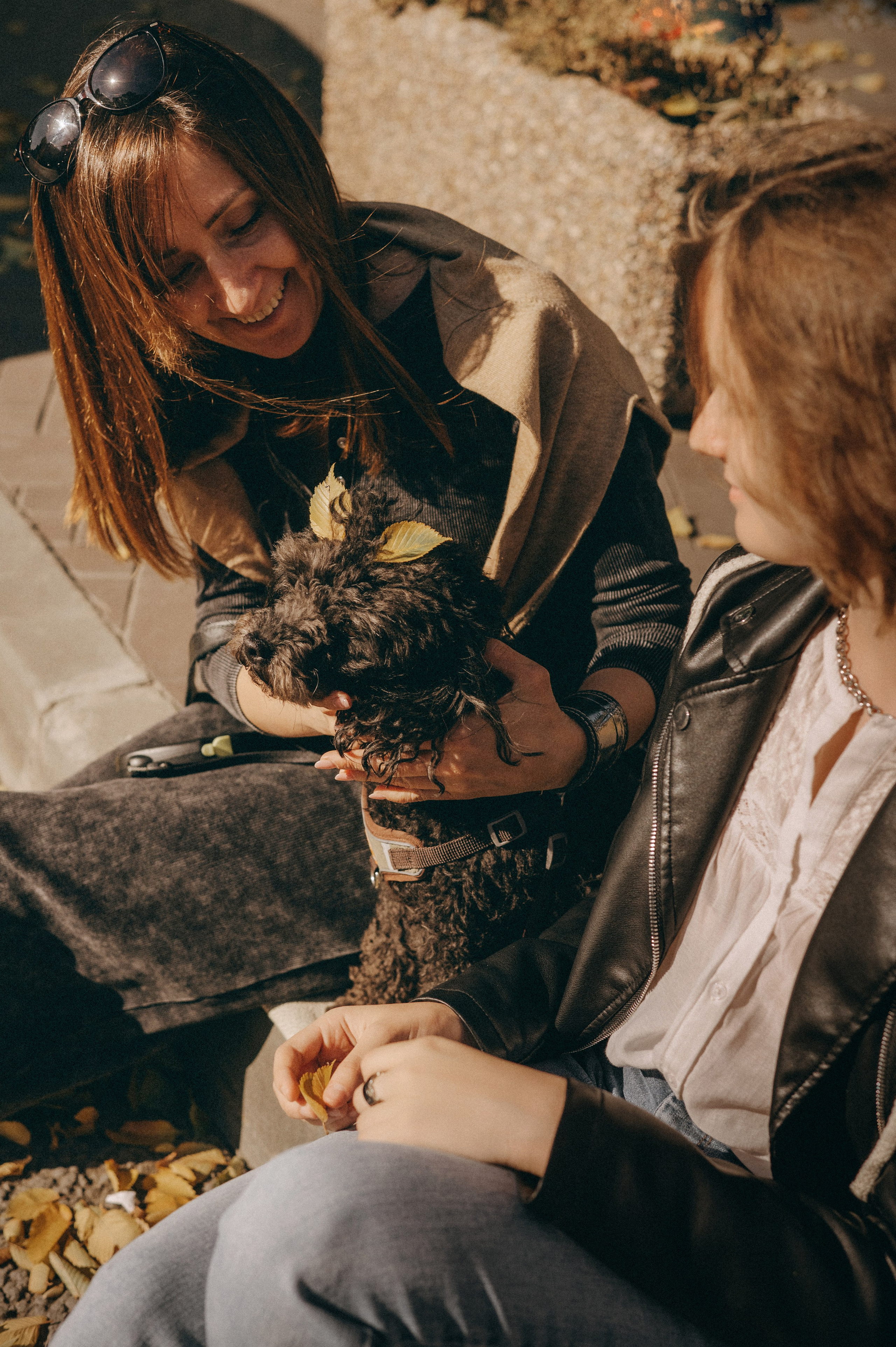 Осенние приключения Чарлика и его хозяек. Фотограф Мария Стрелкова