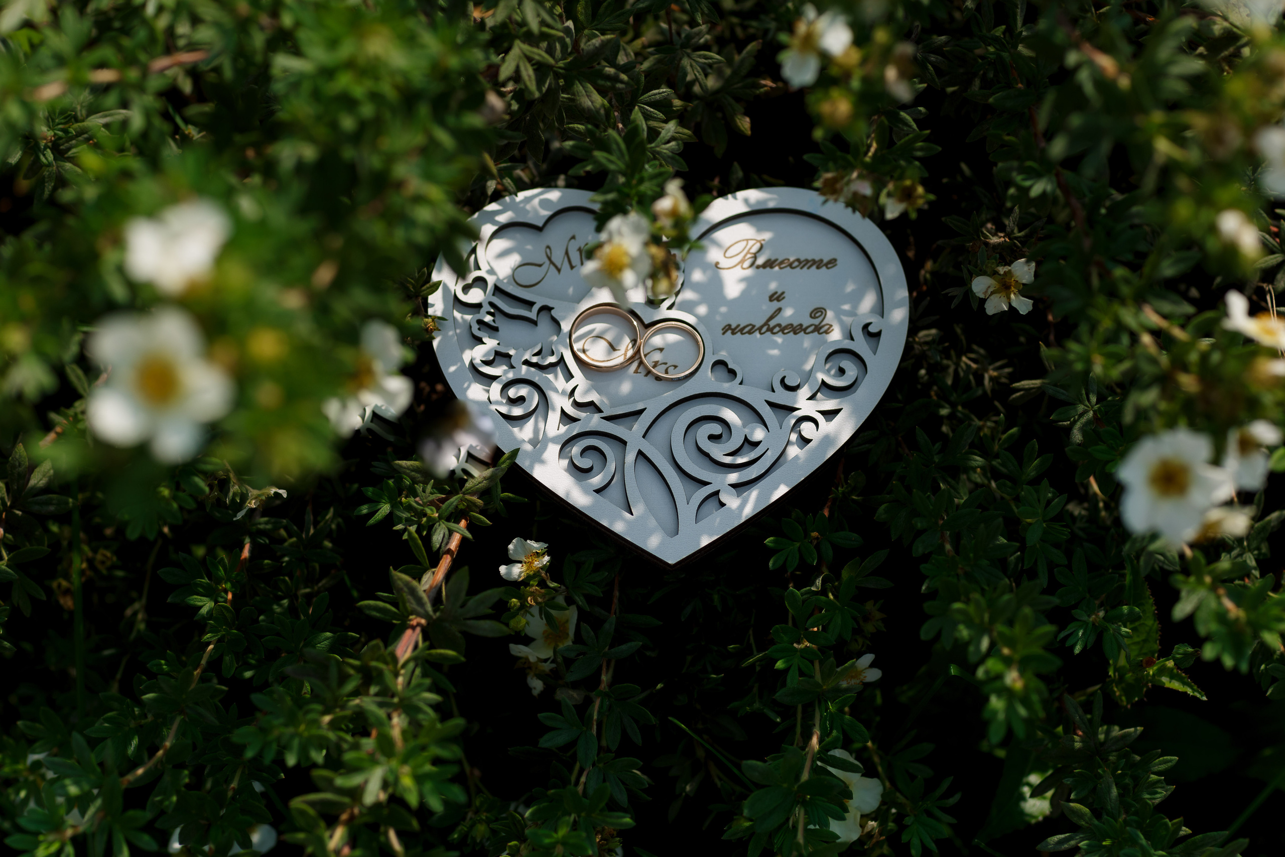 Анонс для Татьяны и Николая. Ваш фотограф Любовь Чистякова