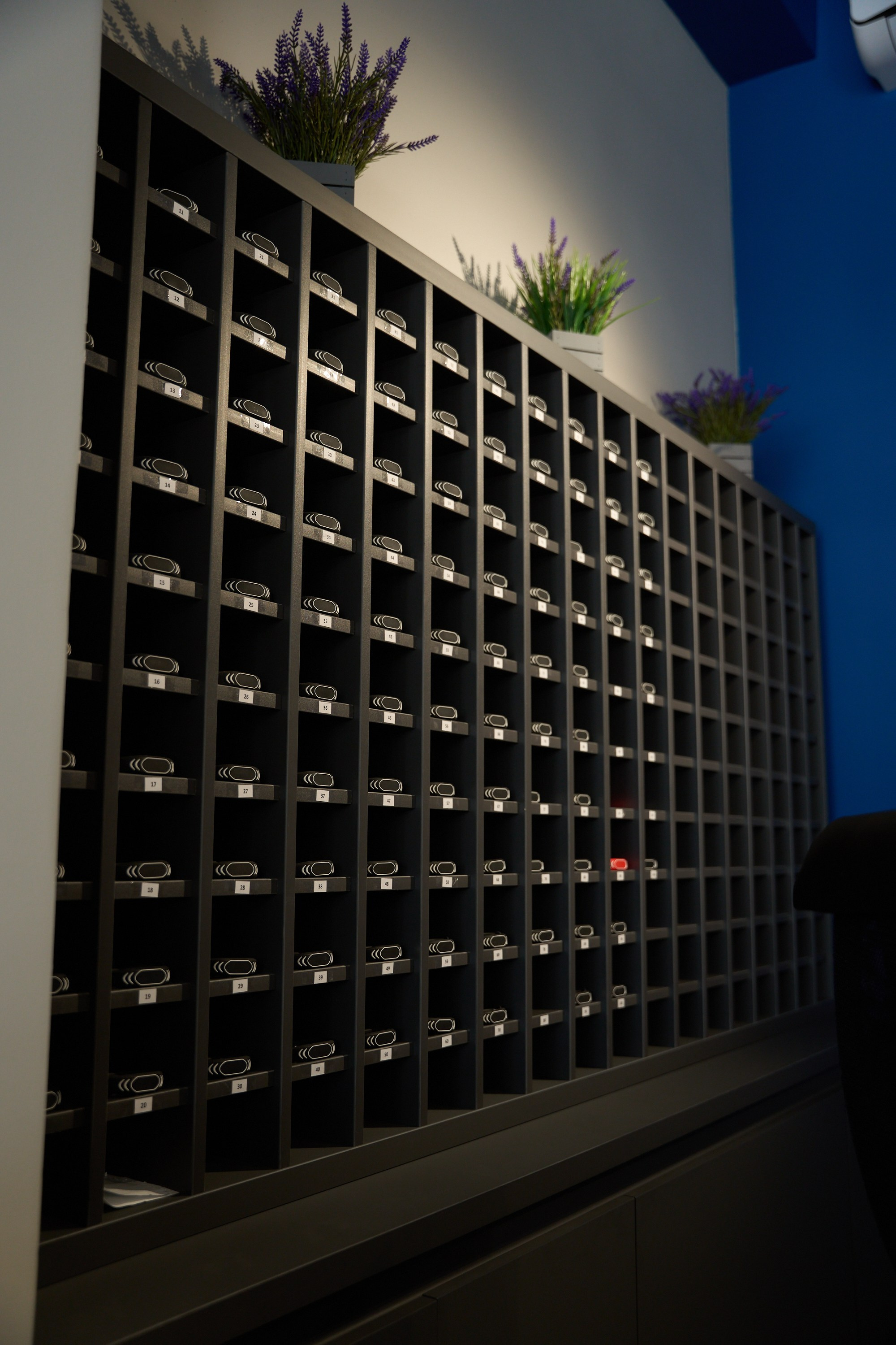 Открытие центров спортивных единоборств «Сокол» Красноярск/Дивногорск. Александр Сазонов Красноярск