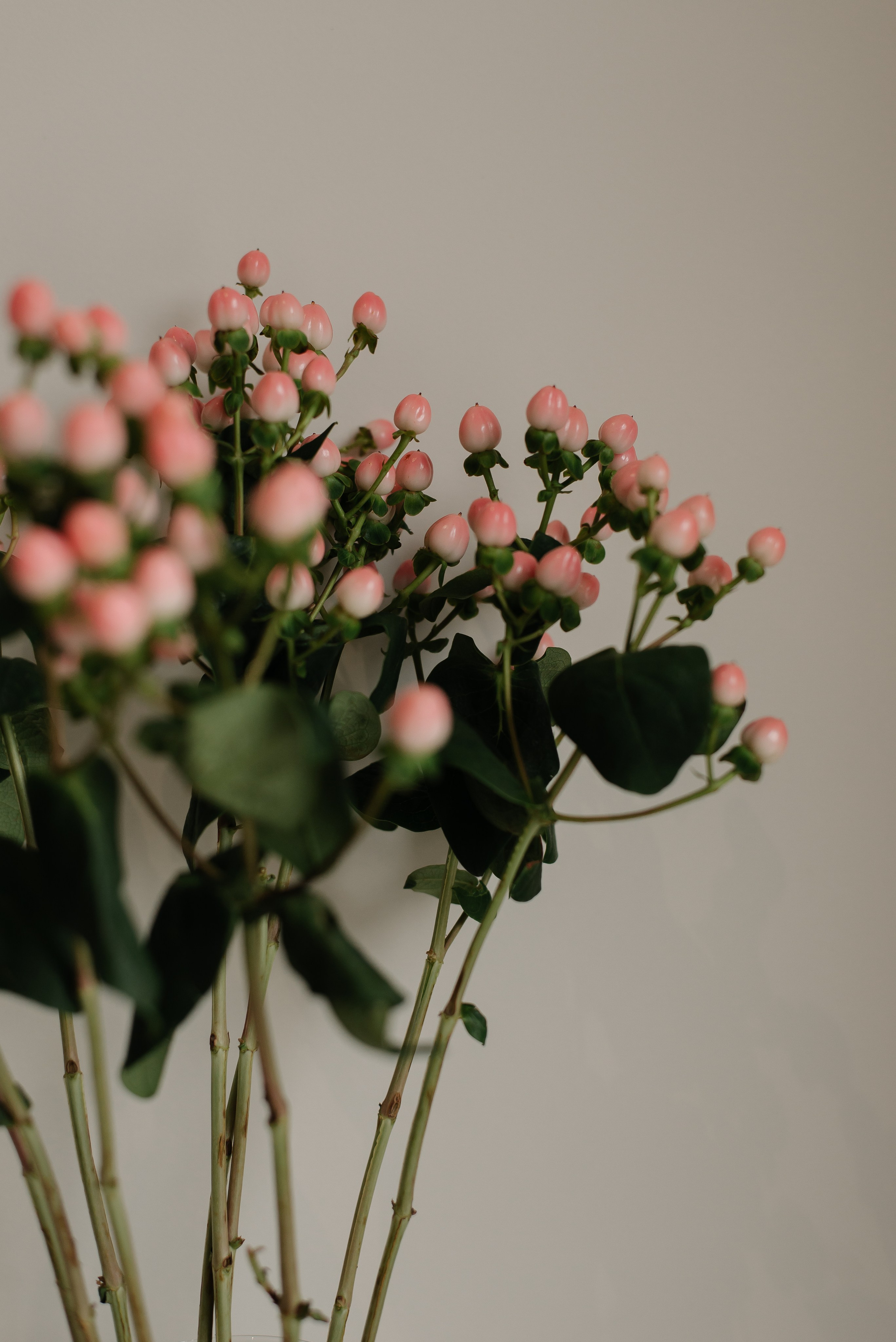 Garden Street. Портретный фотограф Ксения Люндовская