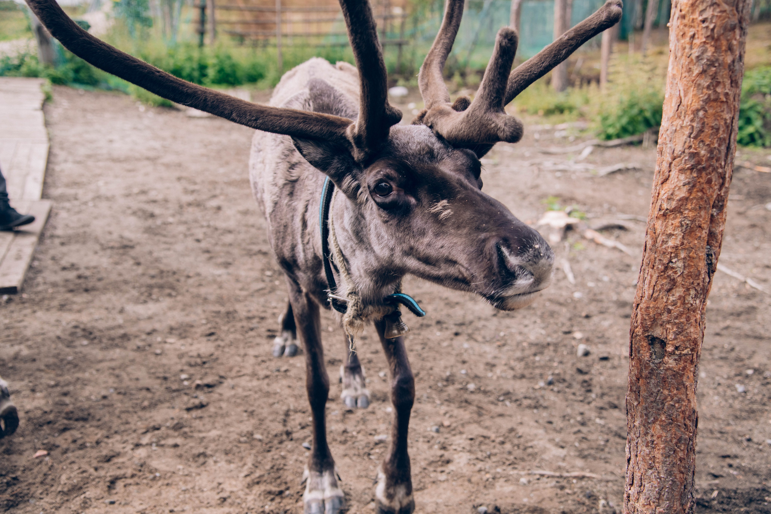 Кольский полуостров. Фотографирую для себя, своей семьи и друзей!