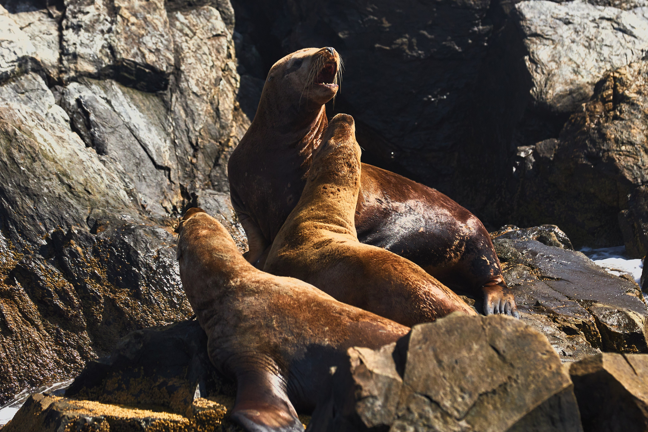 Пейзаж. Репортажный Фотограф во Владивостоке и России Осипчук Дмитрий