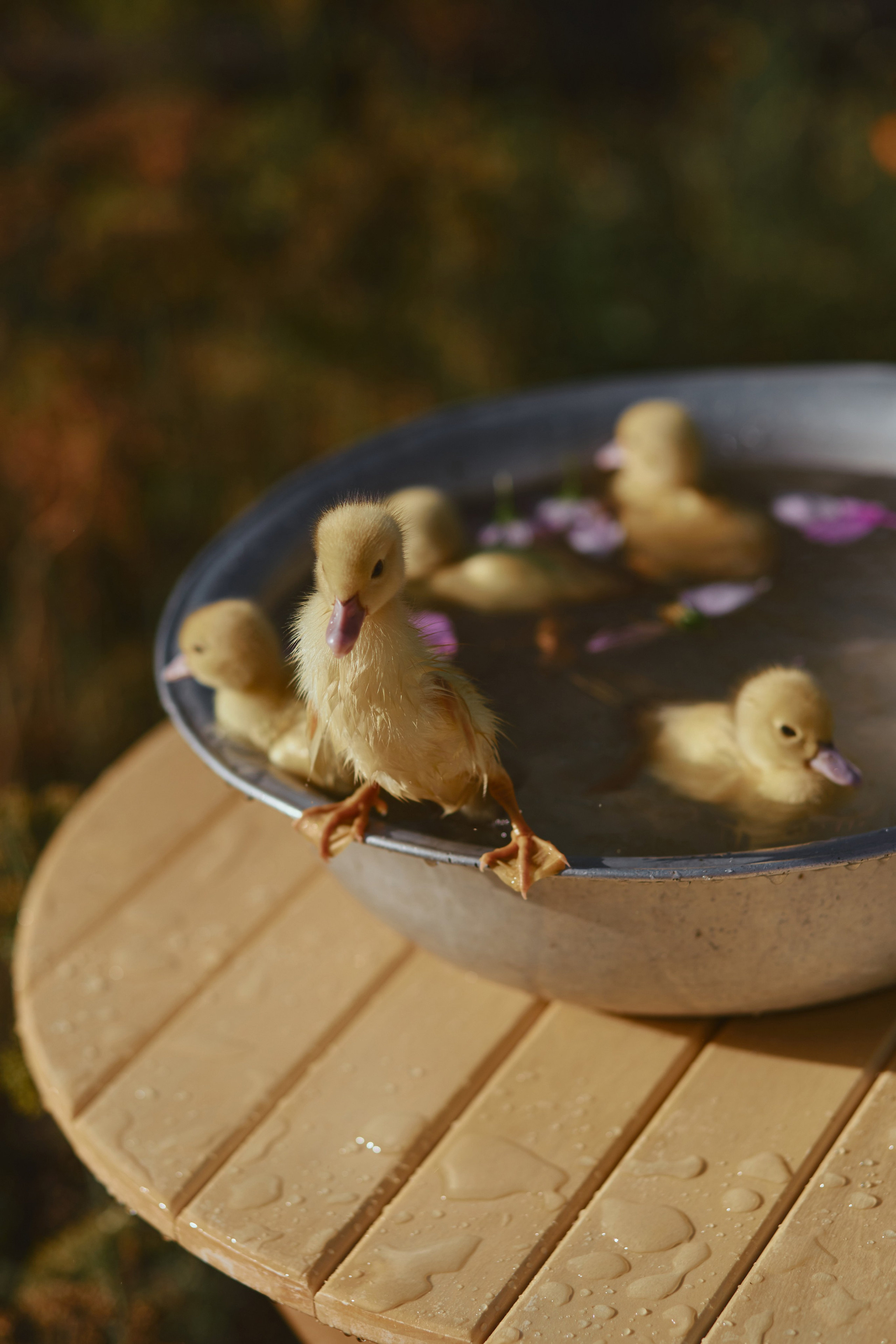 30|07|23. Анастасия Марунич | Блогер | Ставрополь