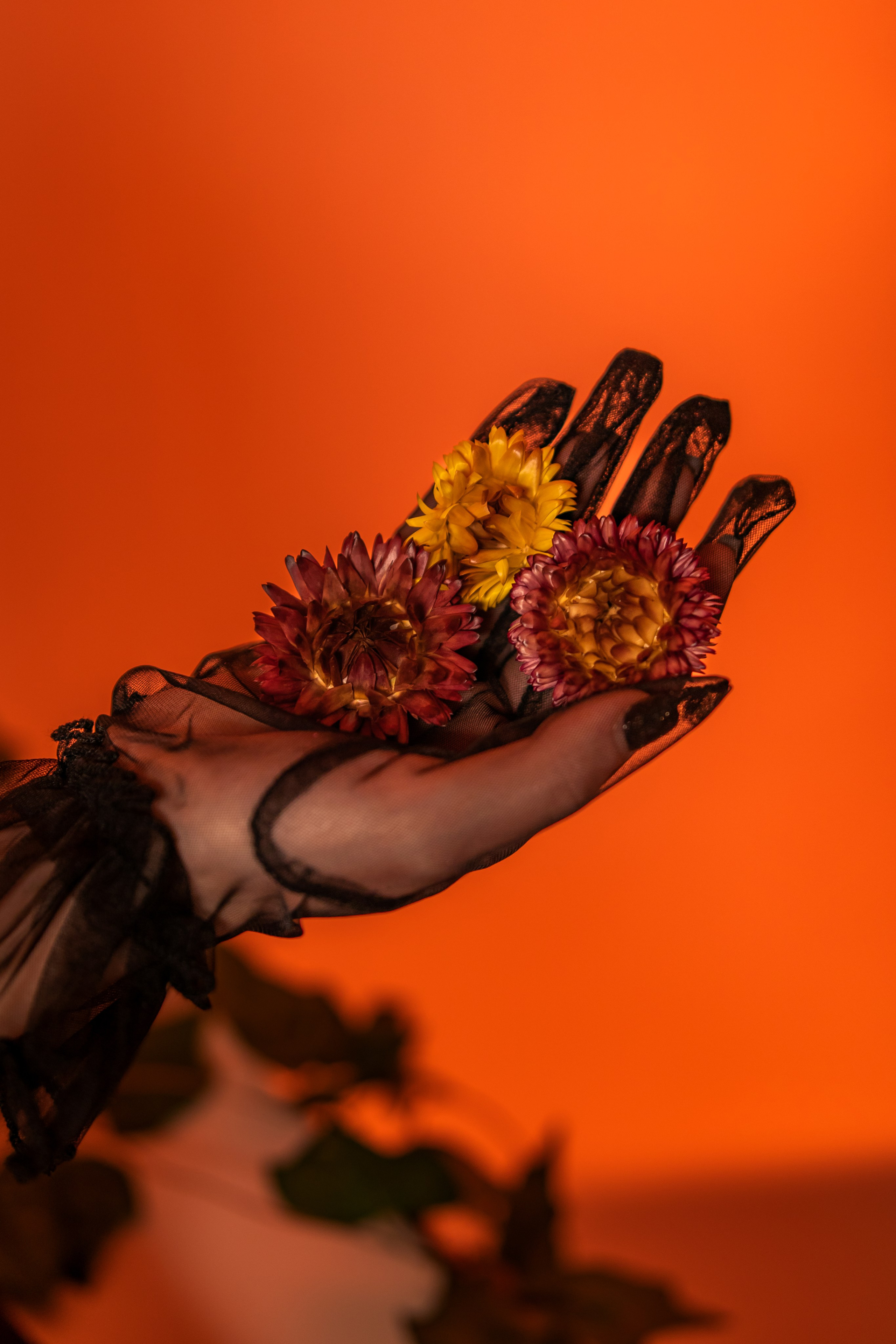 Never be mine. Лиза, ваш портретный и репортажный фотограф в Ульяновске!