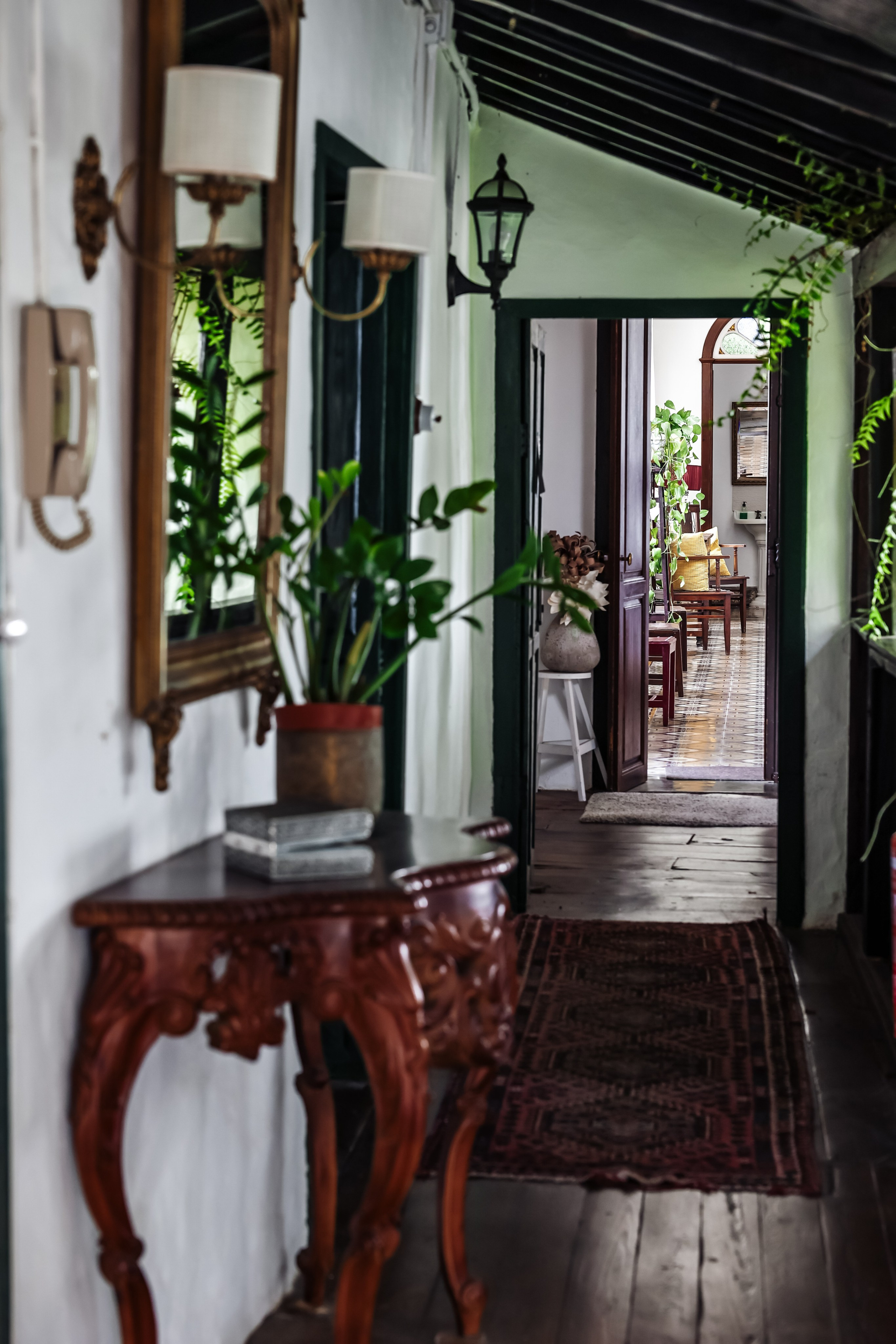 Emblemática Los Helechos. Фотограф Виктория Волкова. Москва