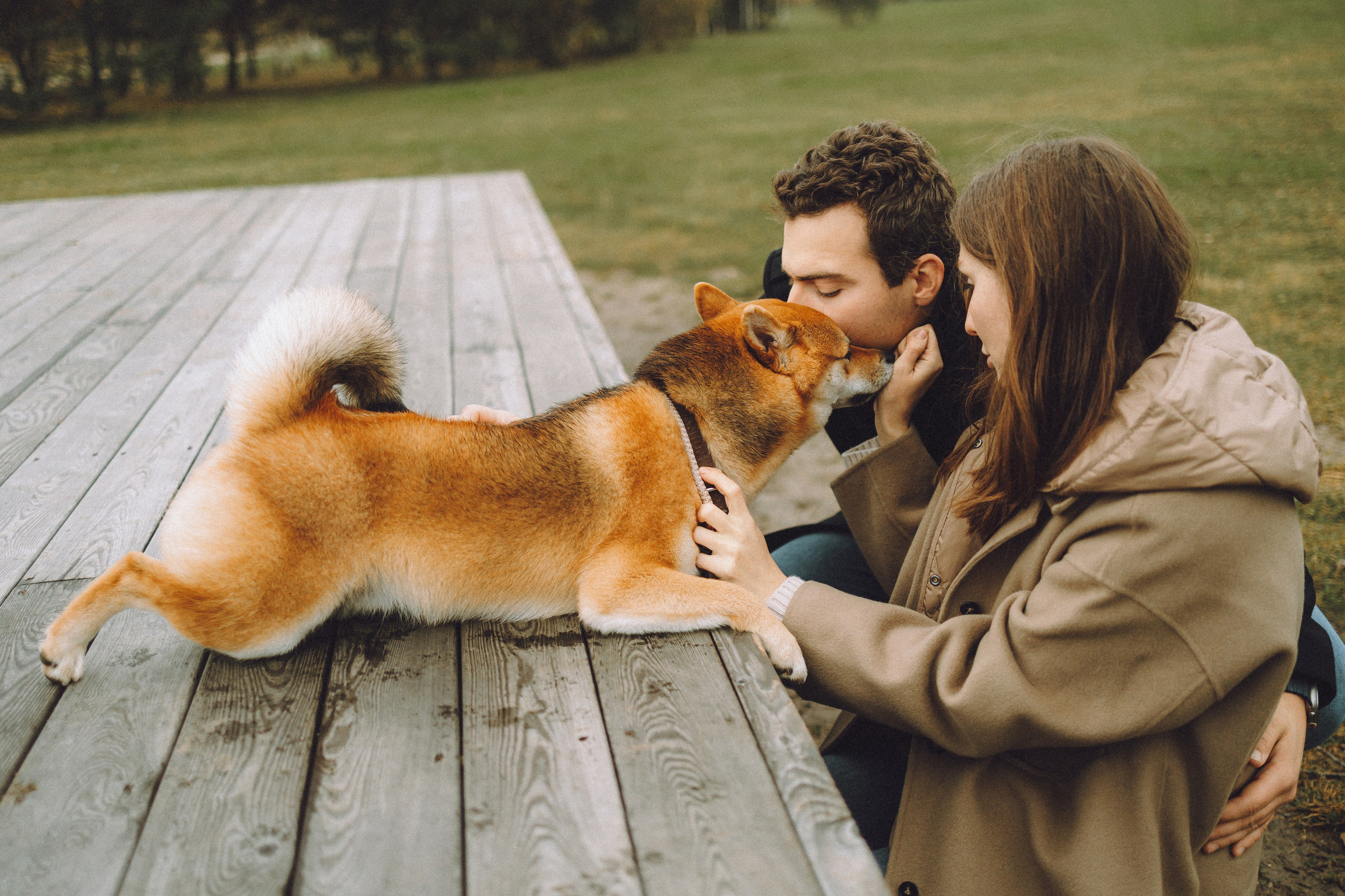 Настя, Юра и Скай