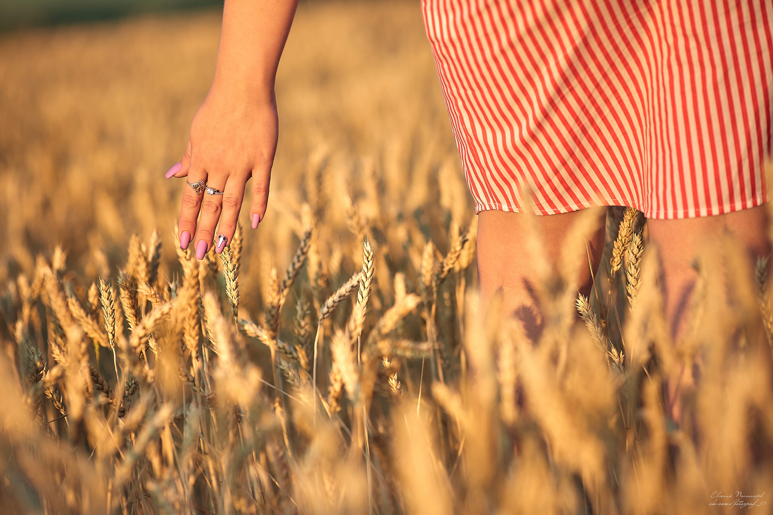 Виталий и Оксана. Свадебный фотограф в Тольятти Жигулевске и Самаре Пономарев Евгений