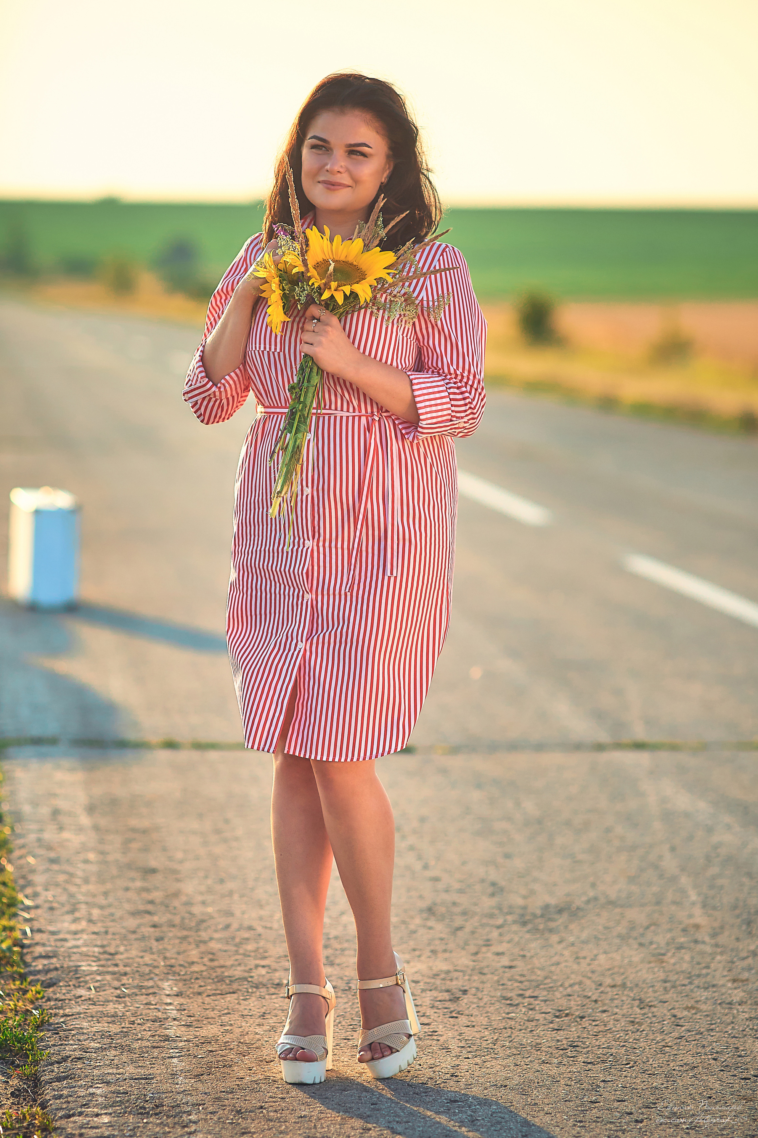 Виталий и Оксана. Свадебный фотограф в Тольятти Жигулевске и Самаре Пономарев Евгений