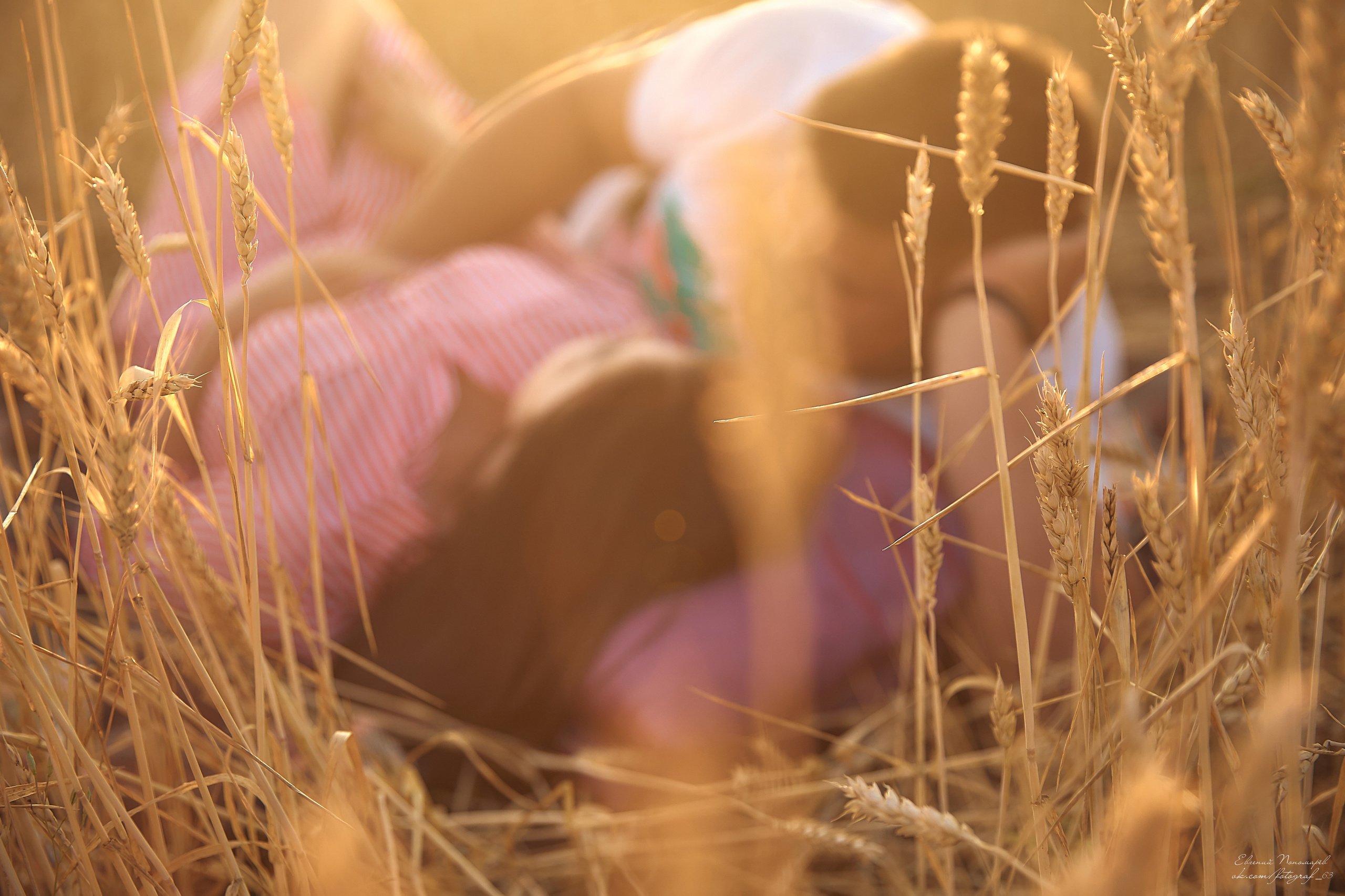 Виталий и Оксана. Свадебный фотограф в Тольятти Жигулевске и Самаре Пономарев Евгений